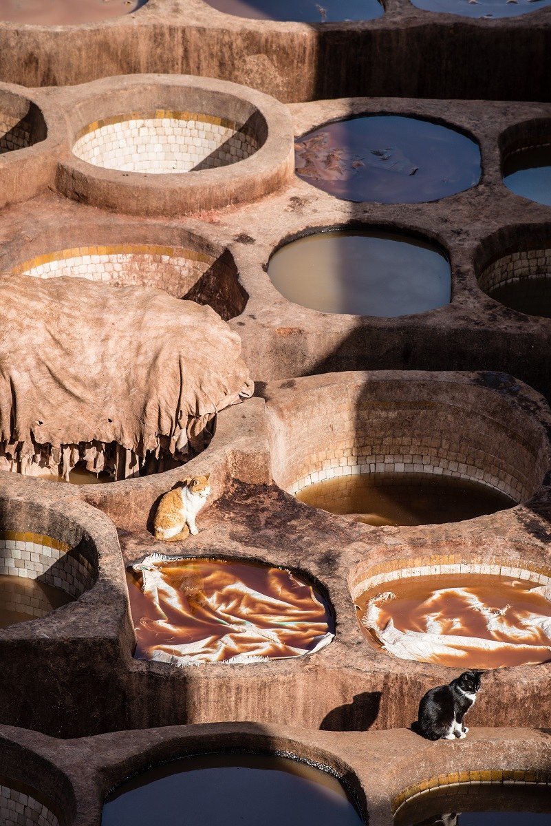 Supervisors in tanneries in Fes