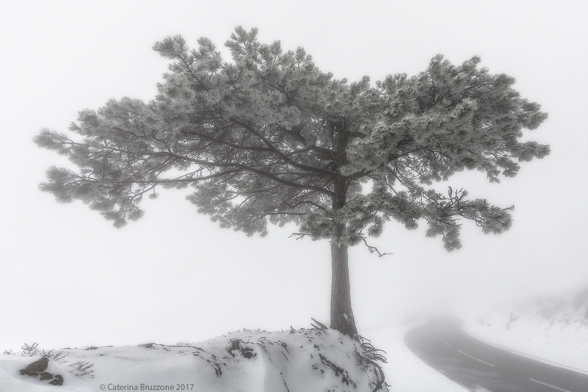 Tutto d'intorno è pace...