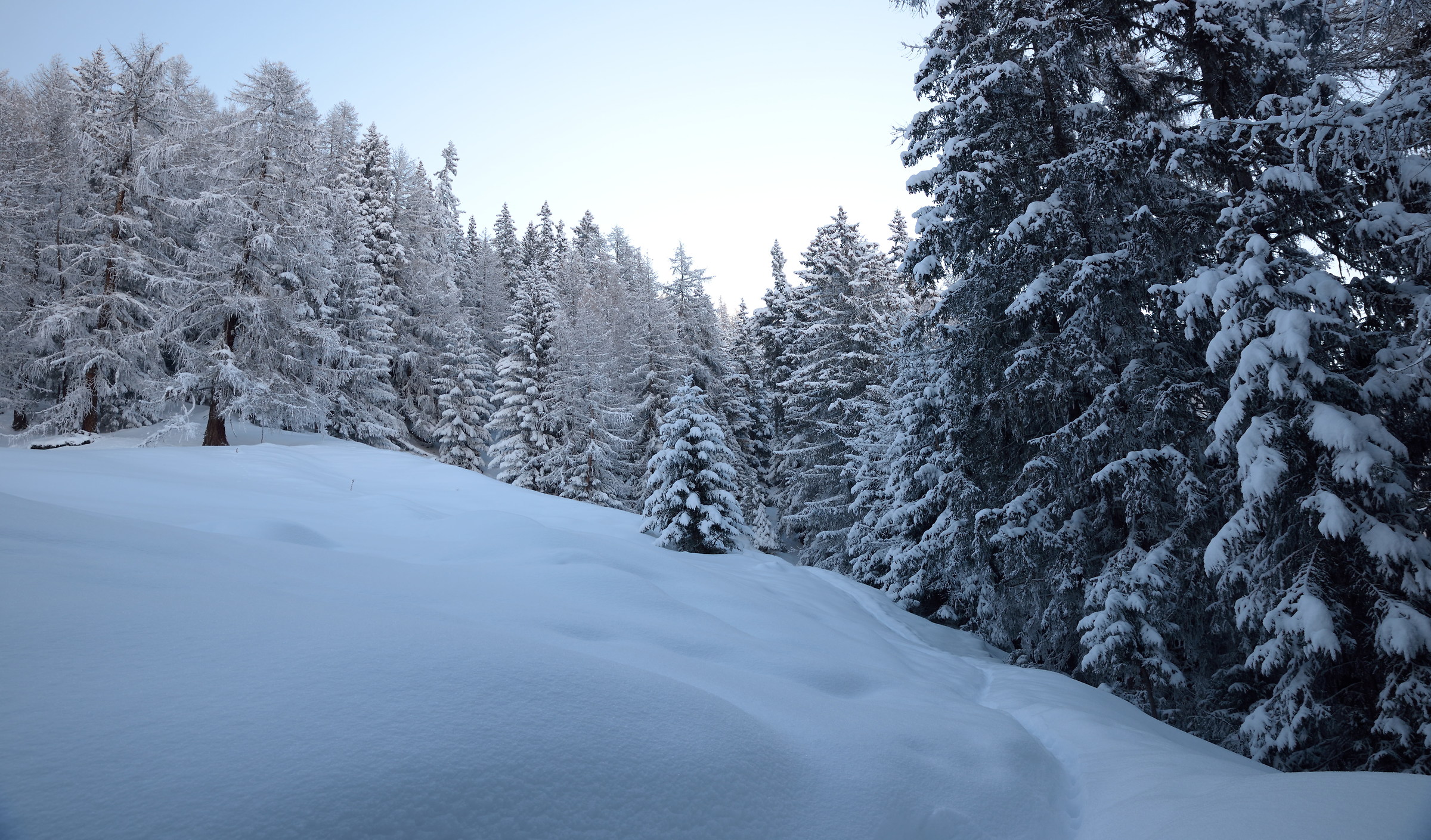 the slender trail that leads me ....