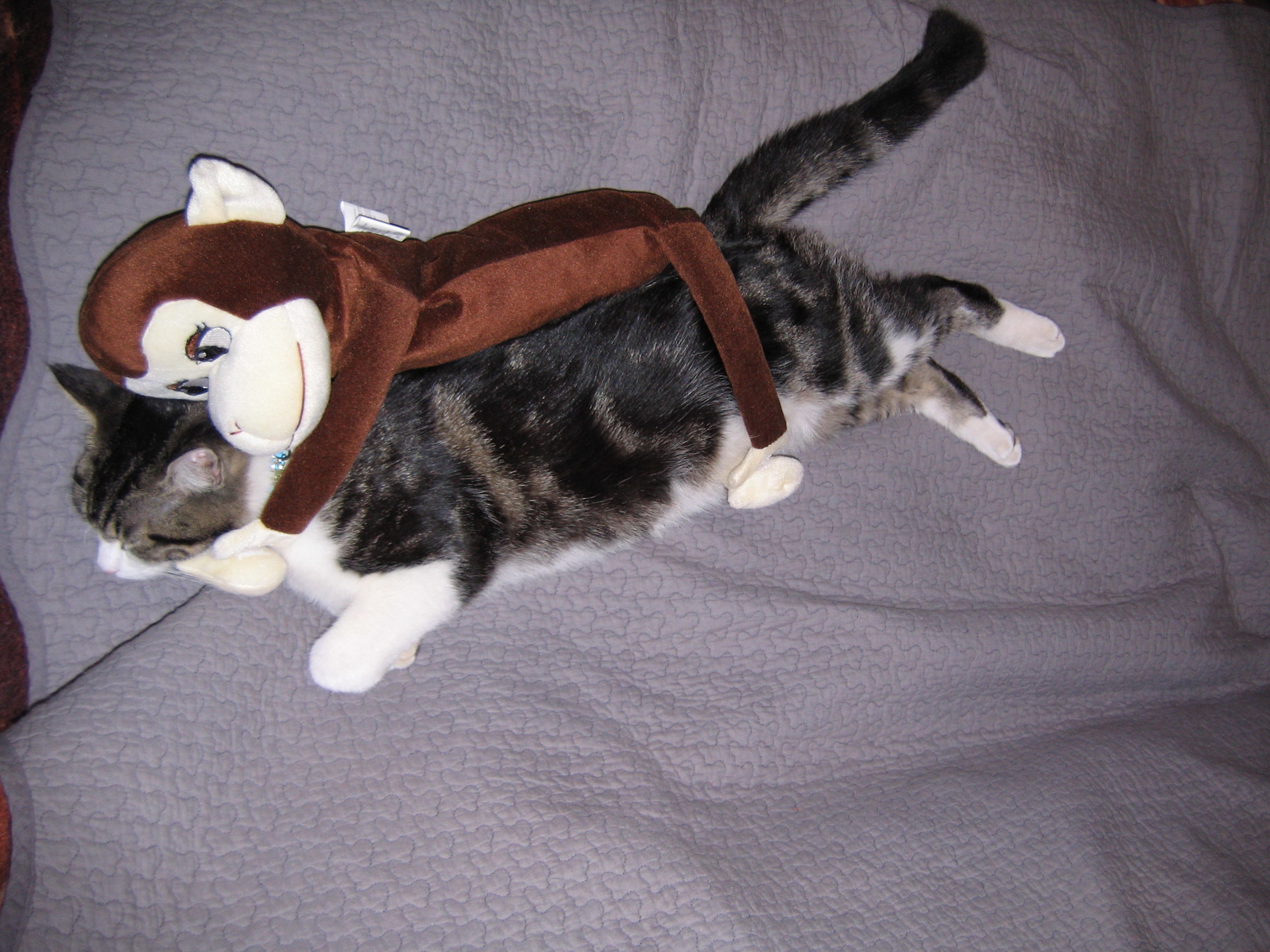 With the monkey on him