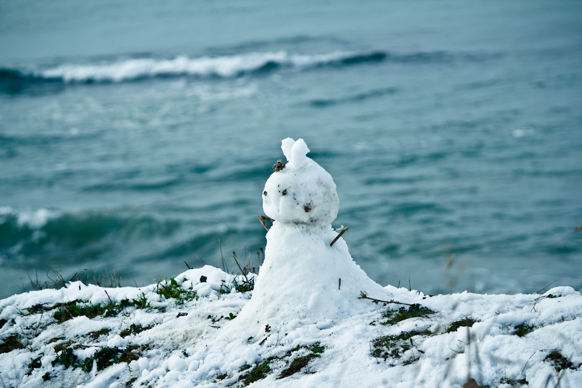 guardian of the beach