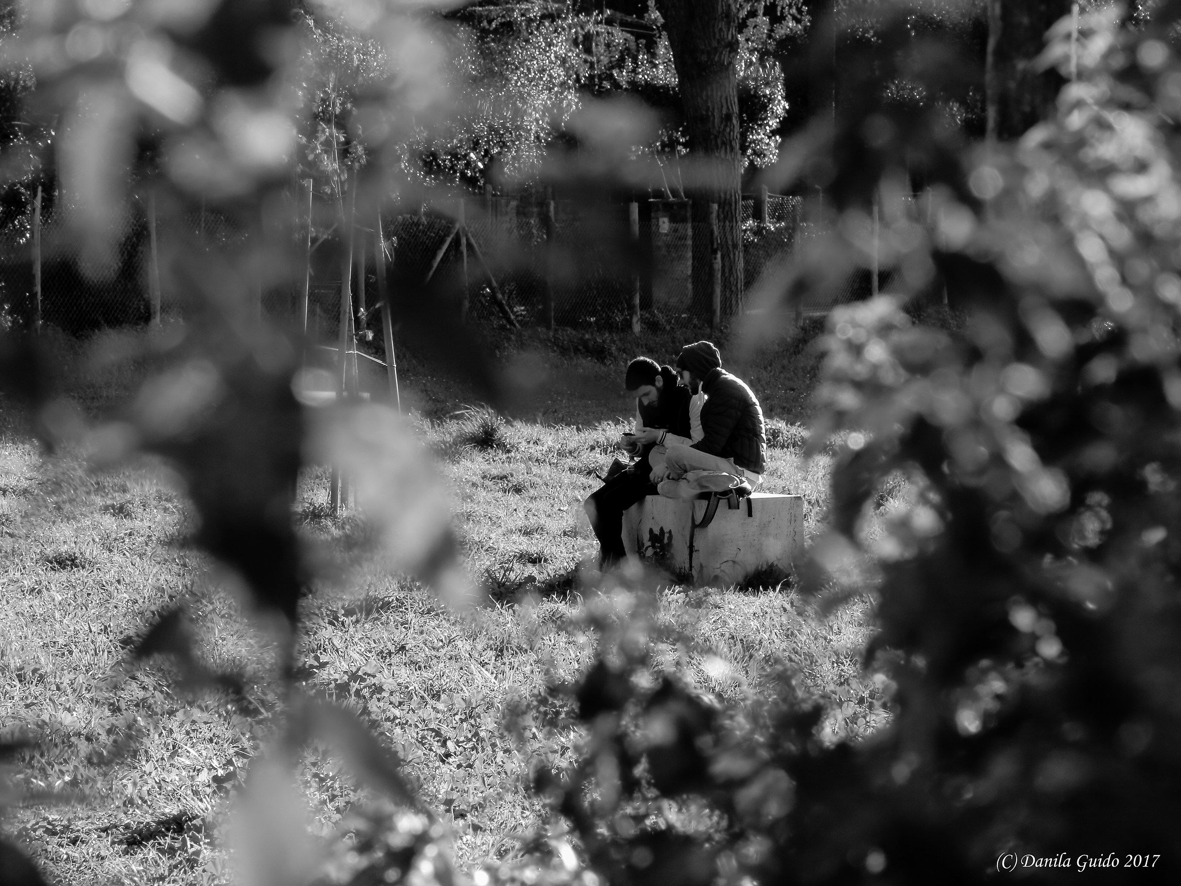 due chiacchiere al sole