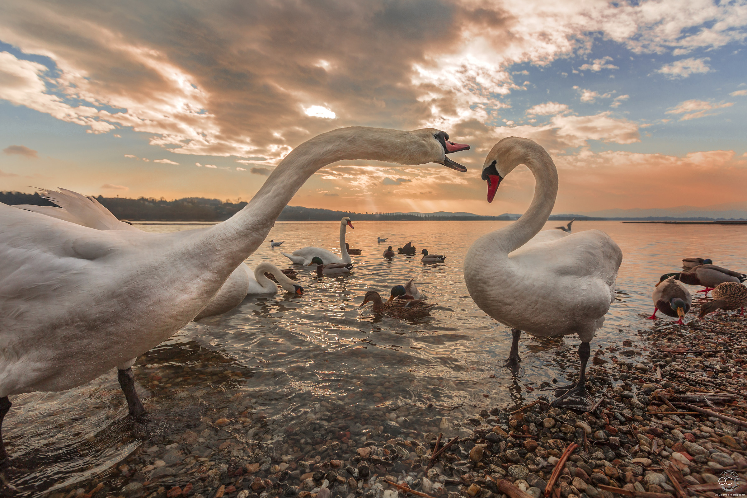 Il bulletto del lago