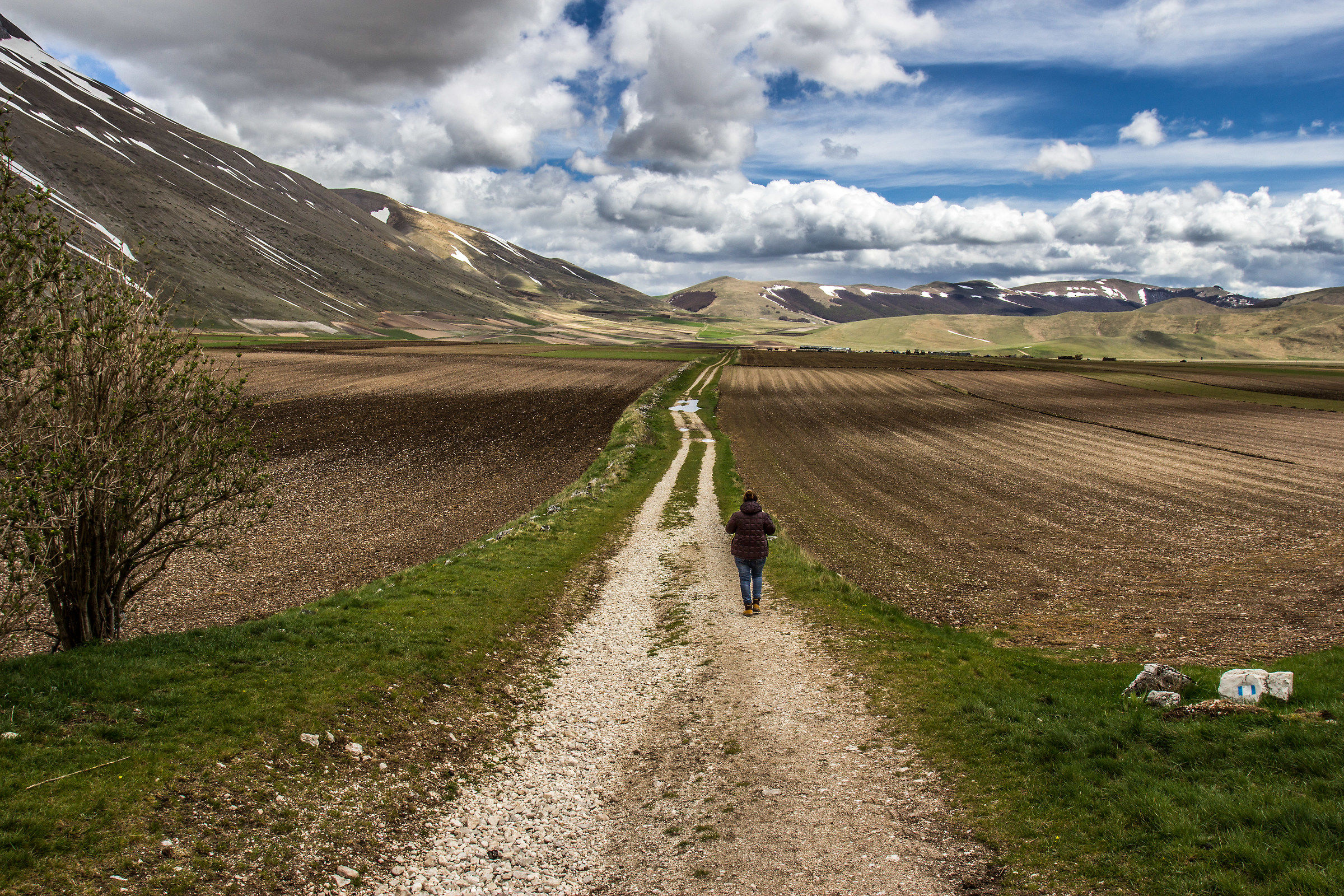 Path towards the plain