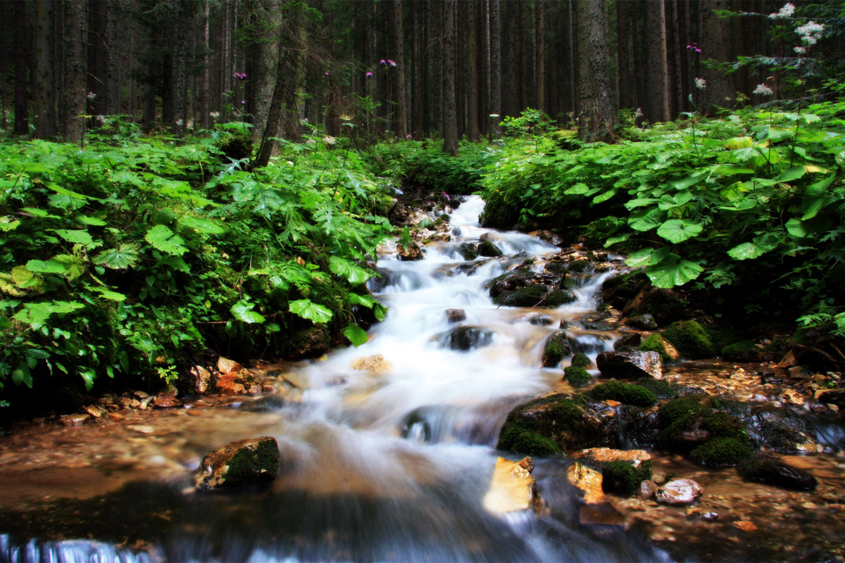 Waterfall - Obereggen