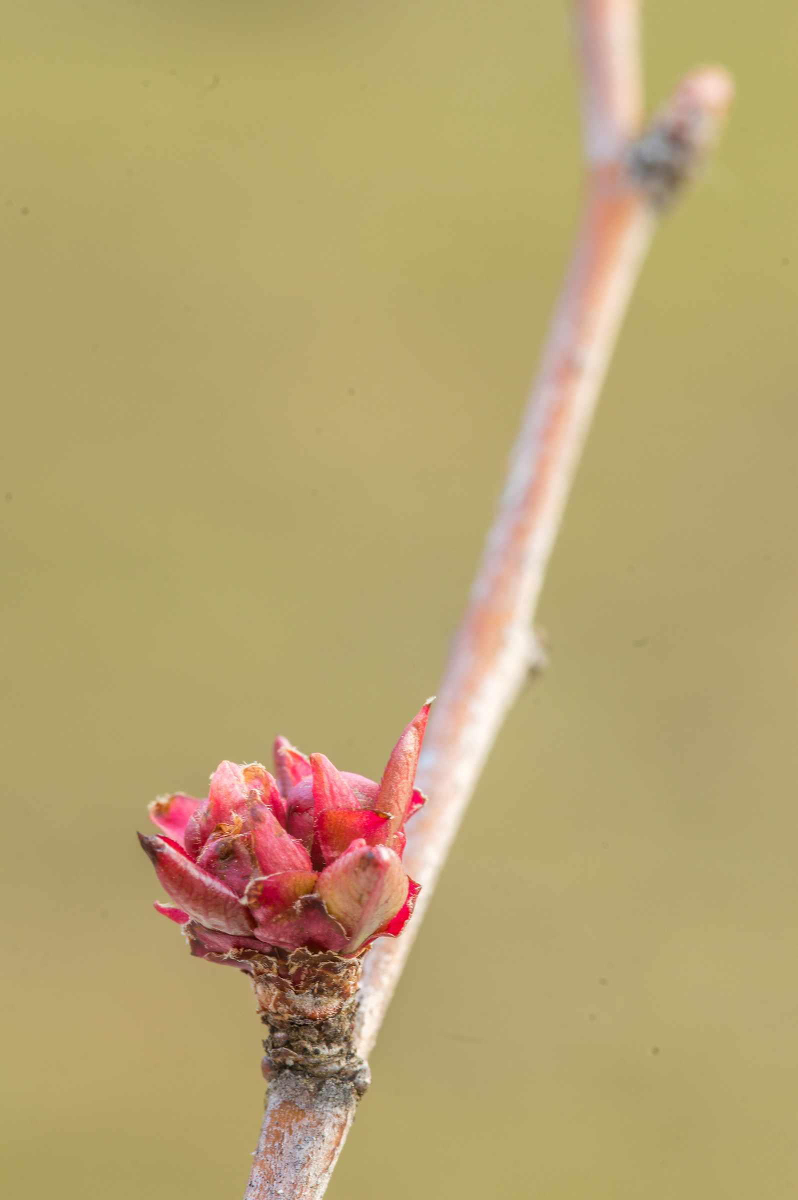 The winter draws to a close