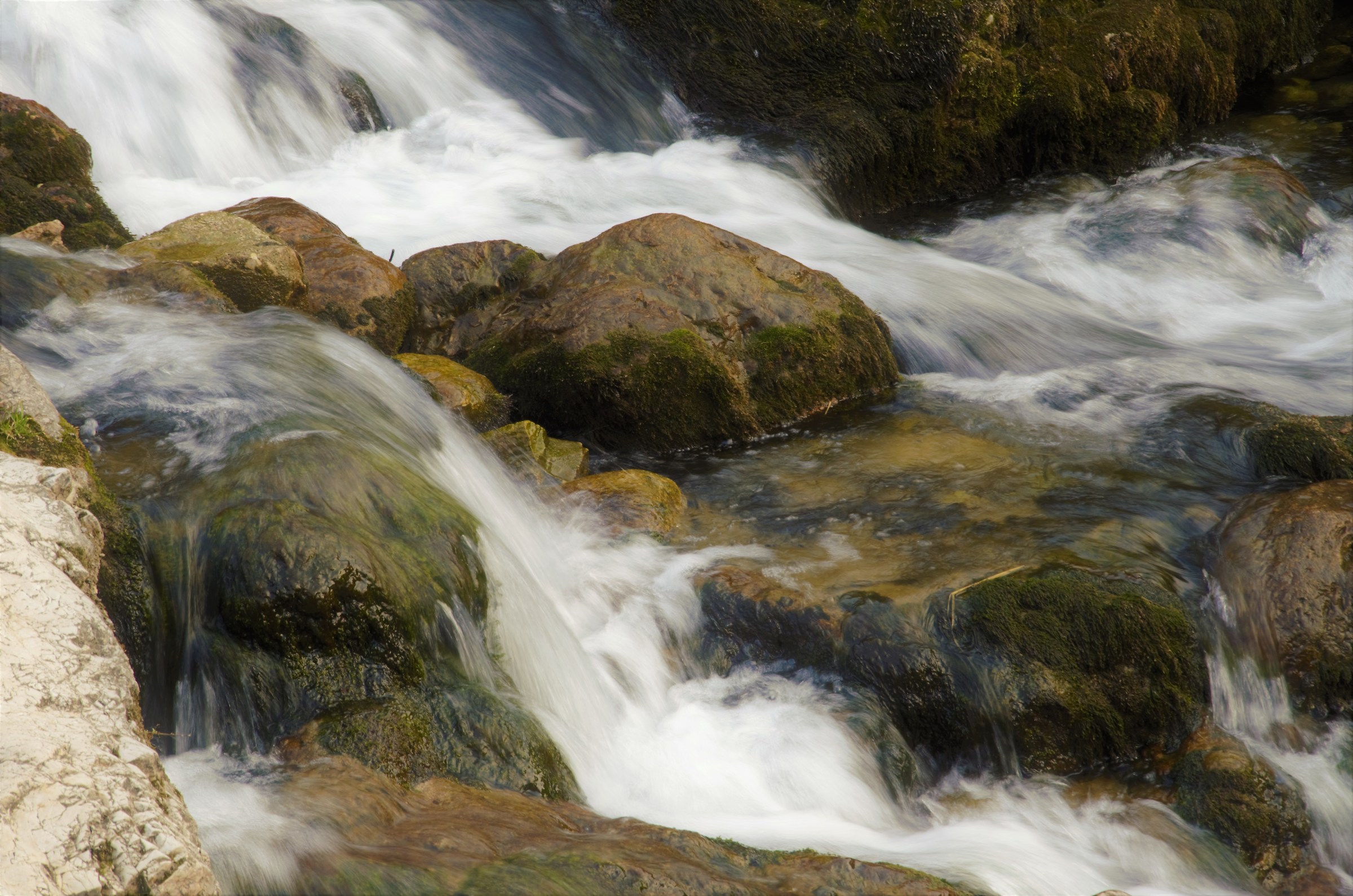 absolute tranquility