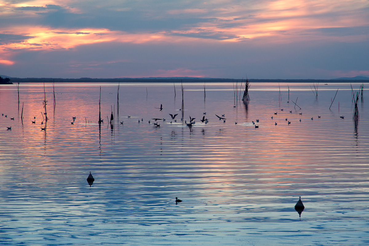 Trasimeno at sunset (3)