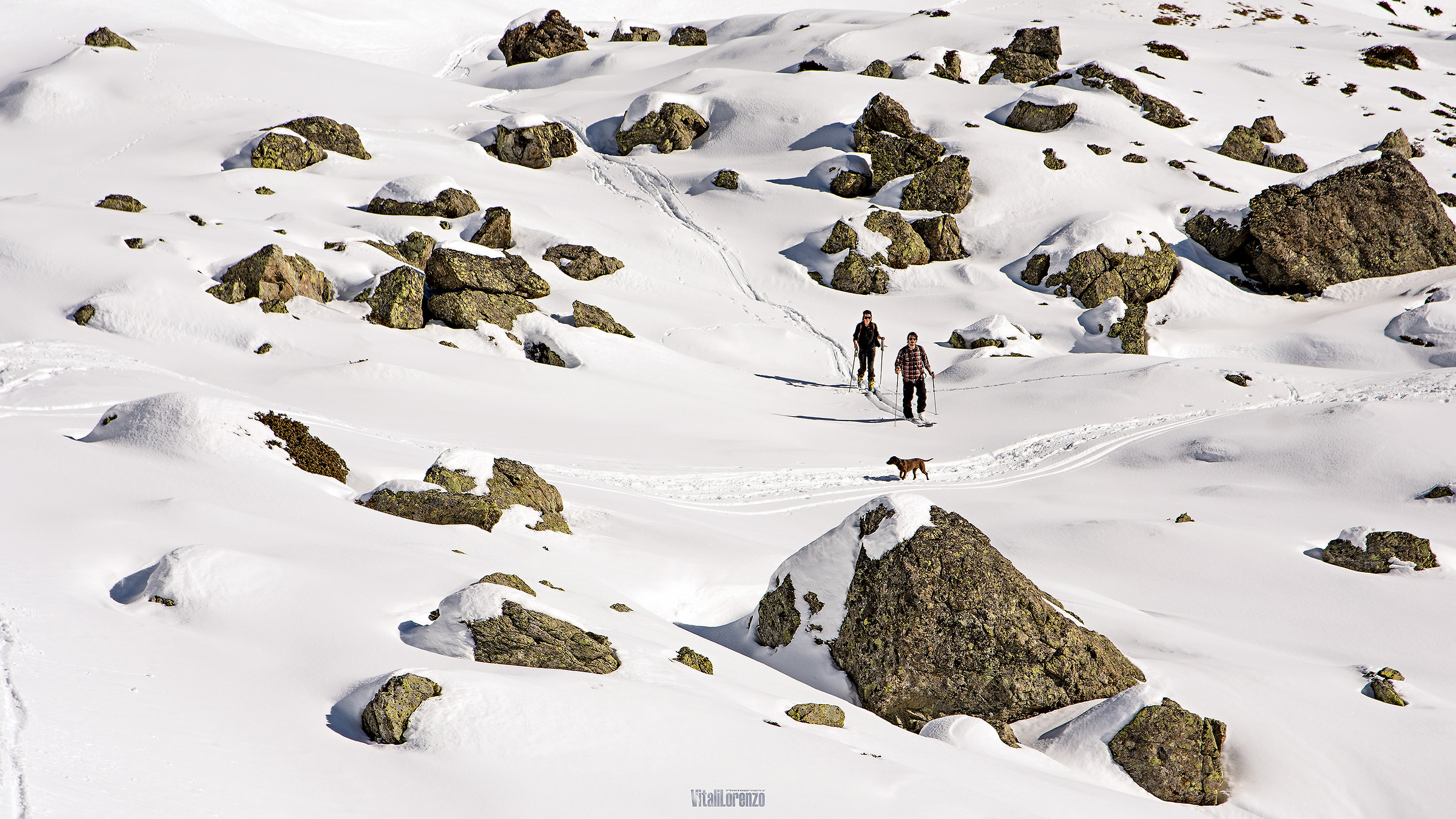 Ski tours in the Engadine