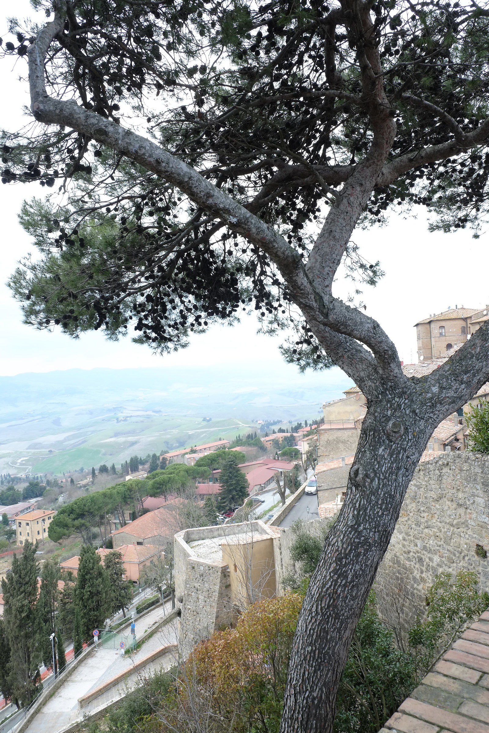scorcio di storia da Volterra