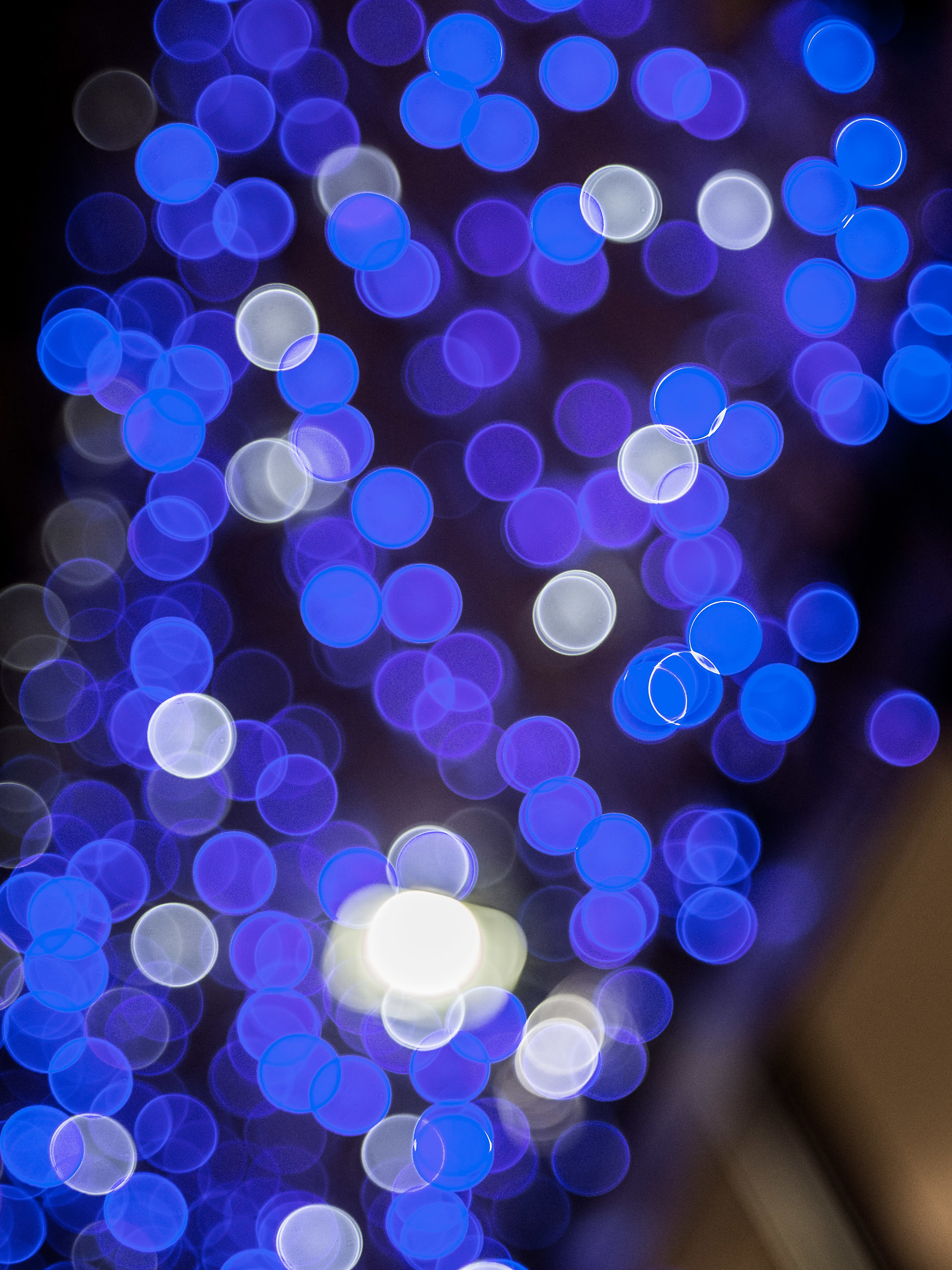 Bokeh 8