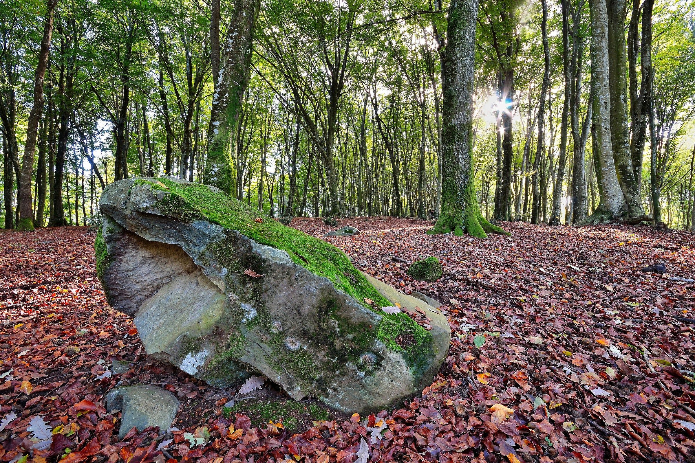 Una tiepida giornata autunnale...