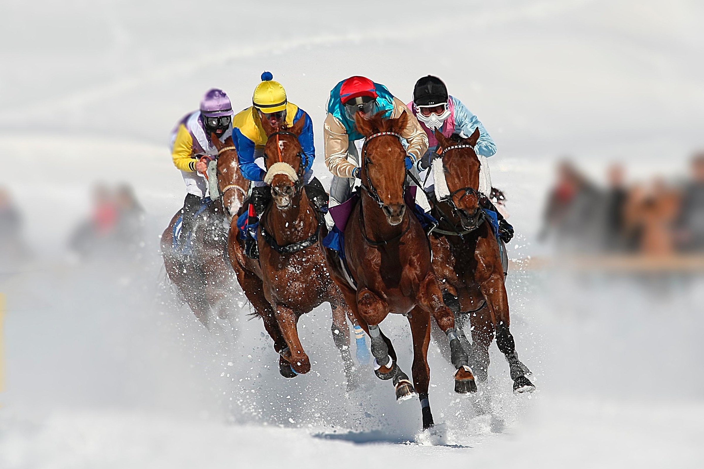 the race on the frozen lake