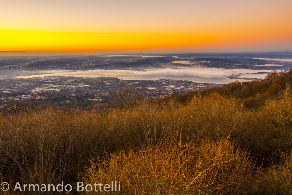 Lake Varese seen from the field of flowers!