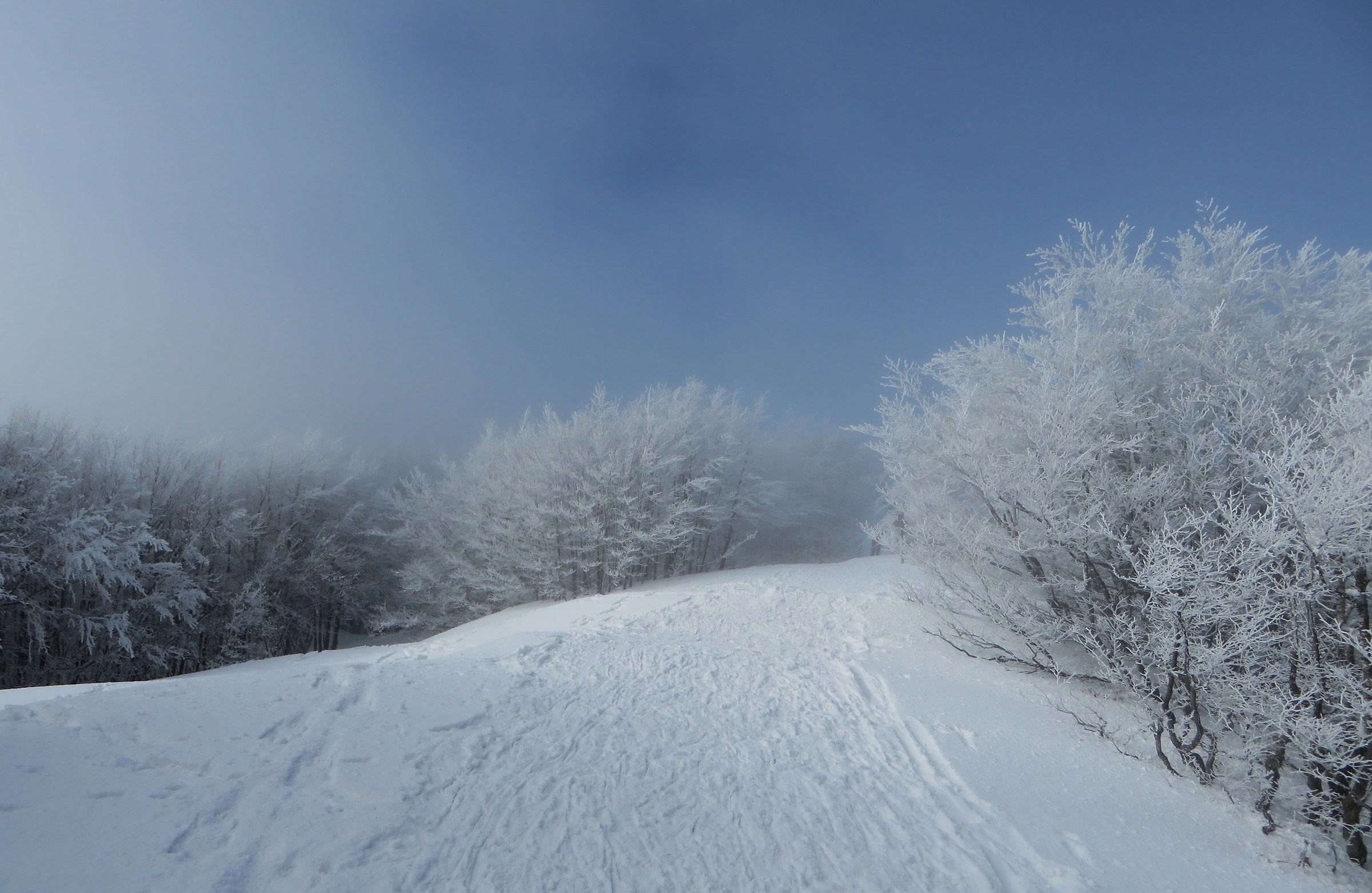 Verso il Monte Falco