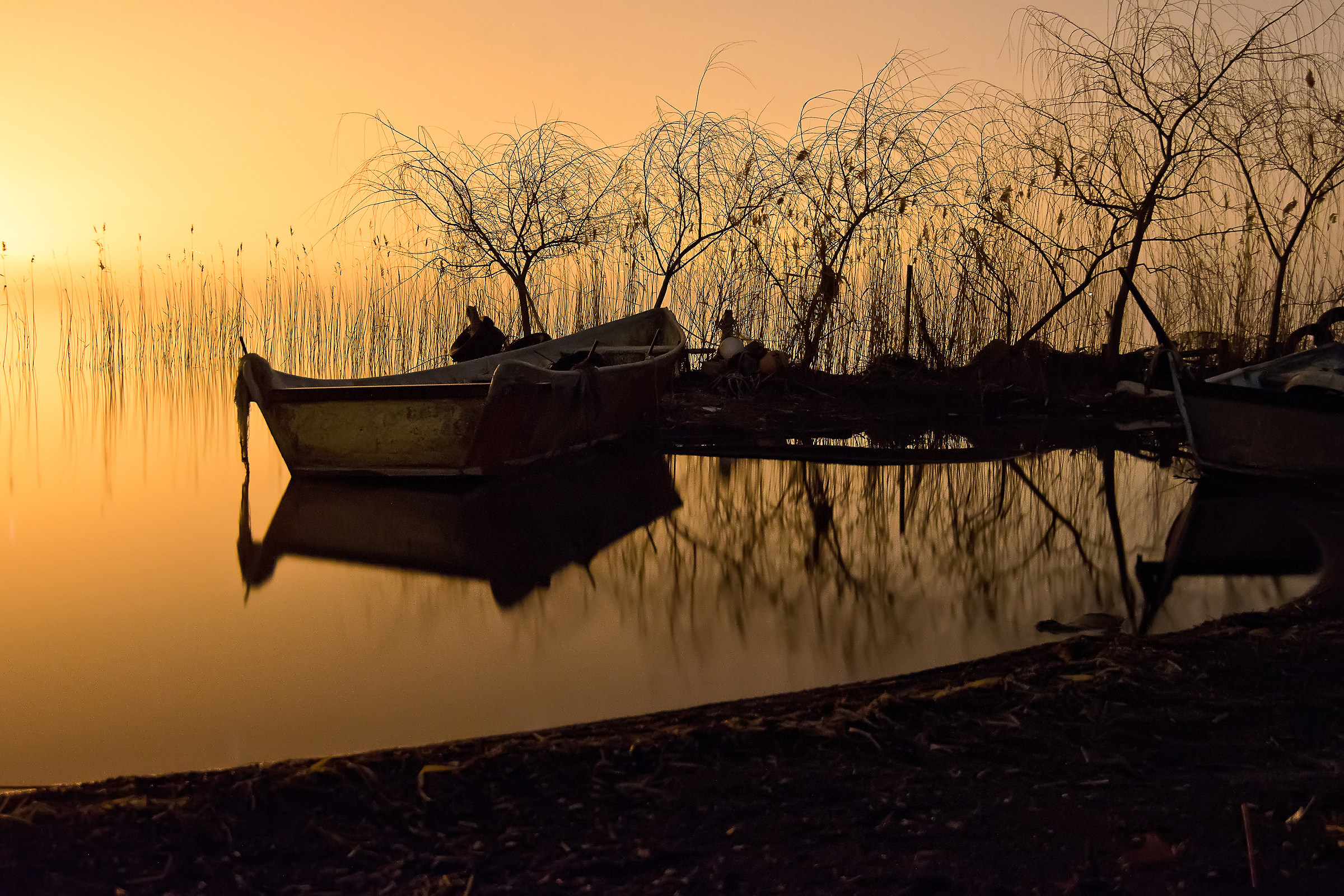 Waiting for the new day