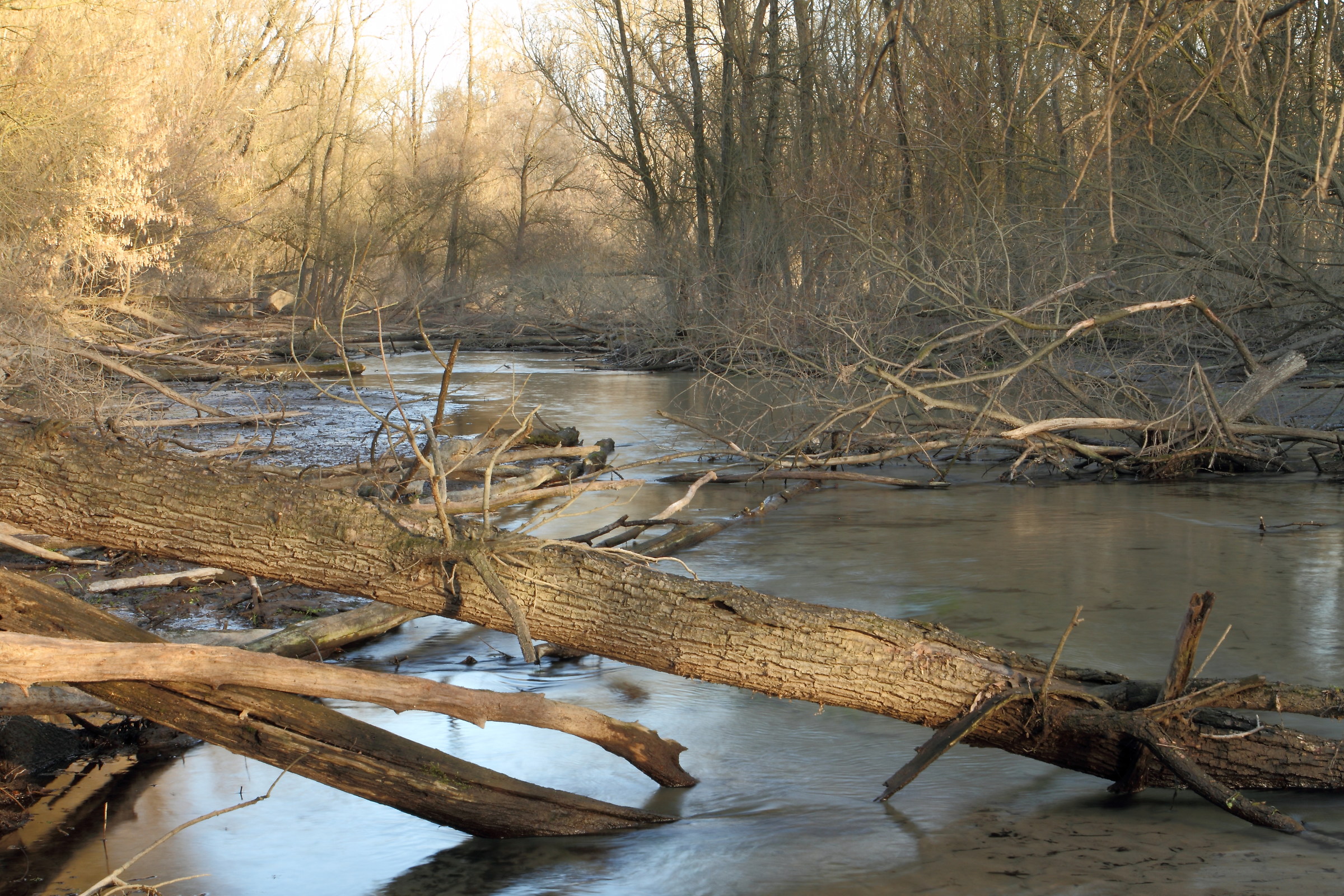 and 'something happened ...