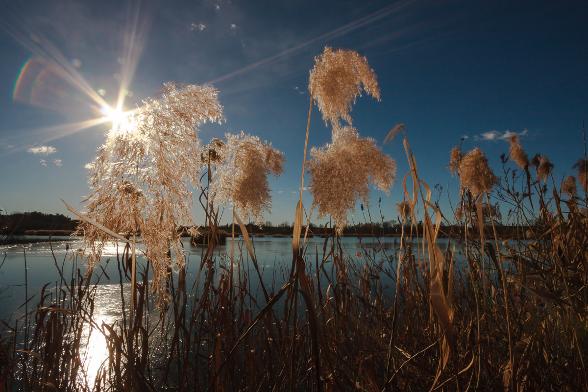 Lights and flares in the bog ...