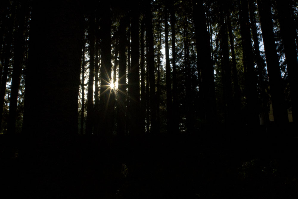 A ligth in the darkness