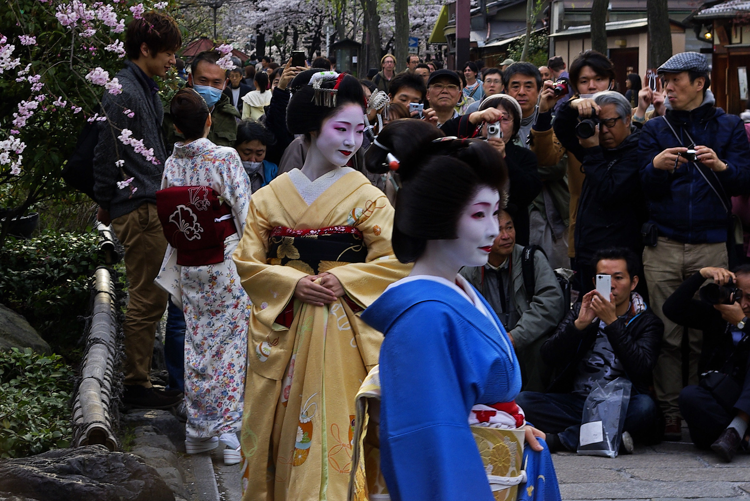 Maiko in posa, Kyoto