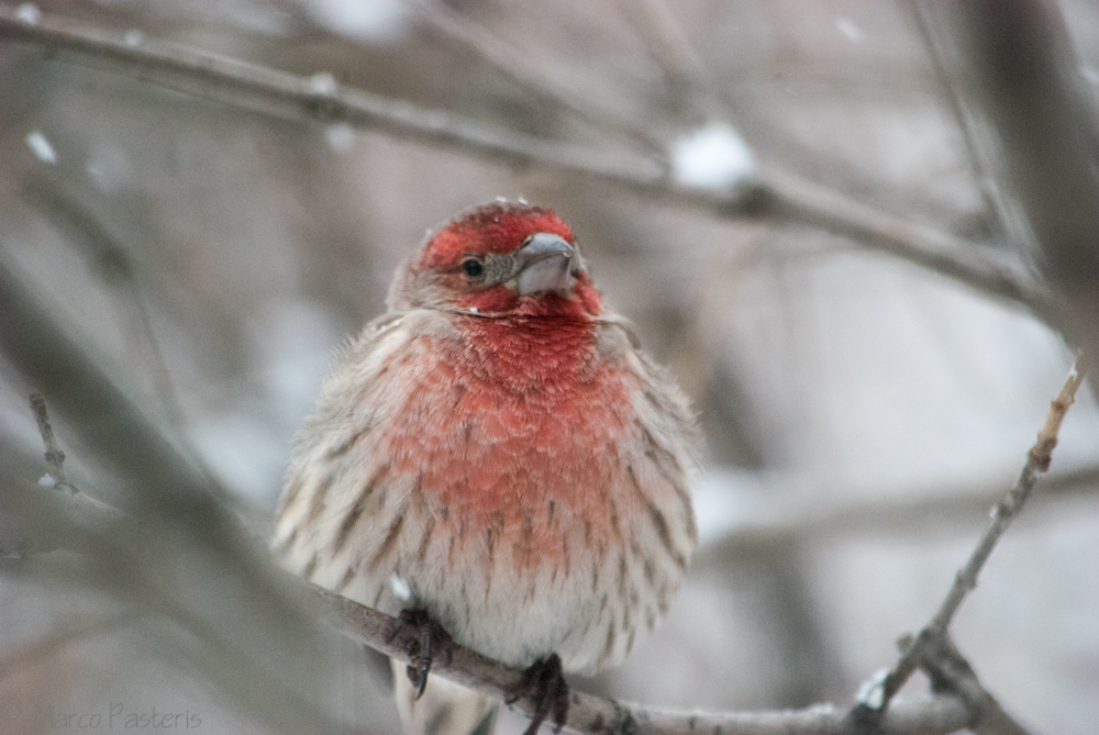 It's freezing cold today!