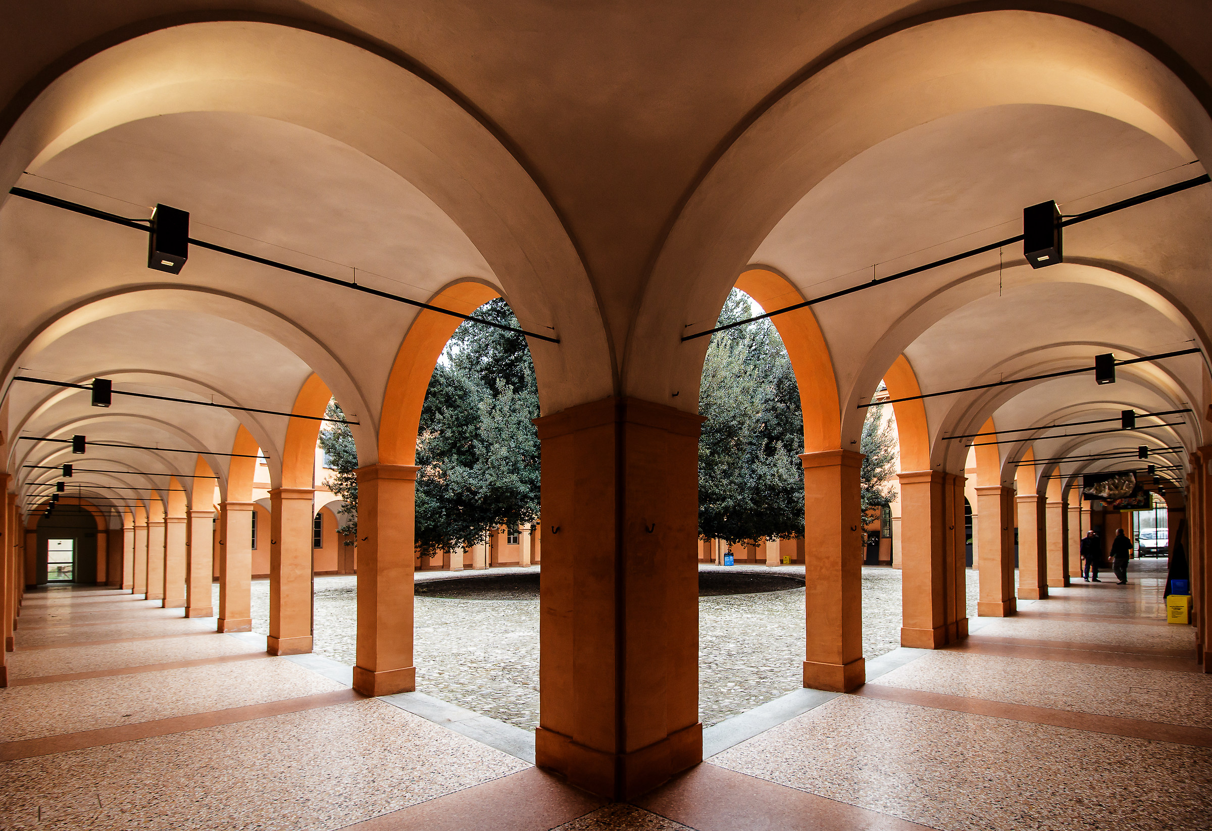 Modena - Cortile del leccio
