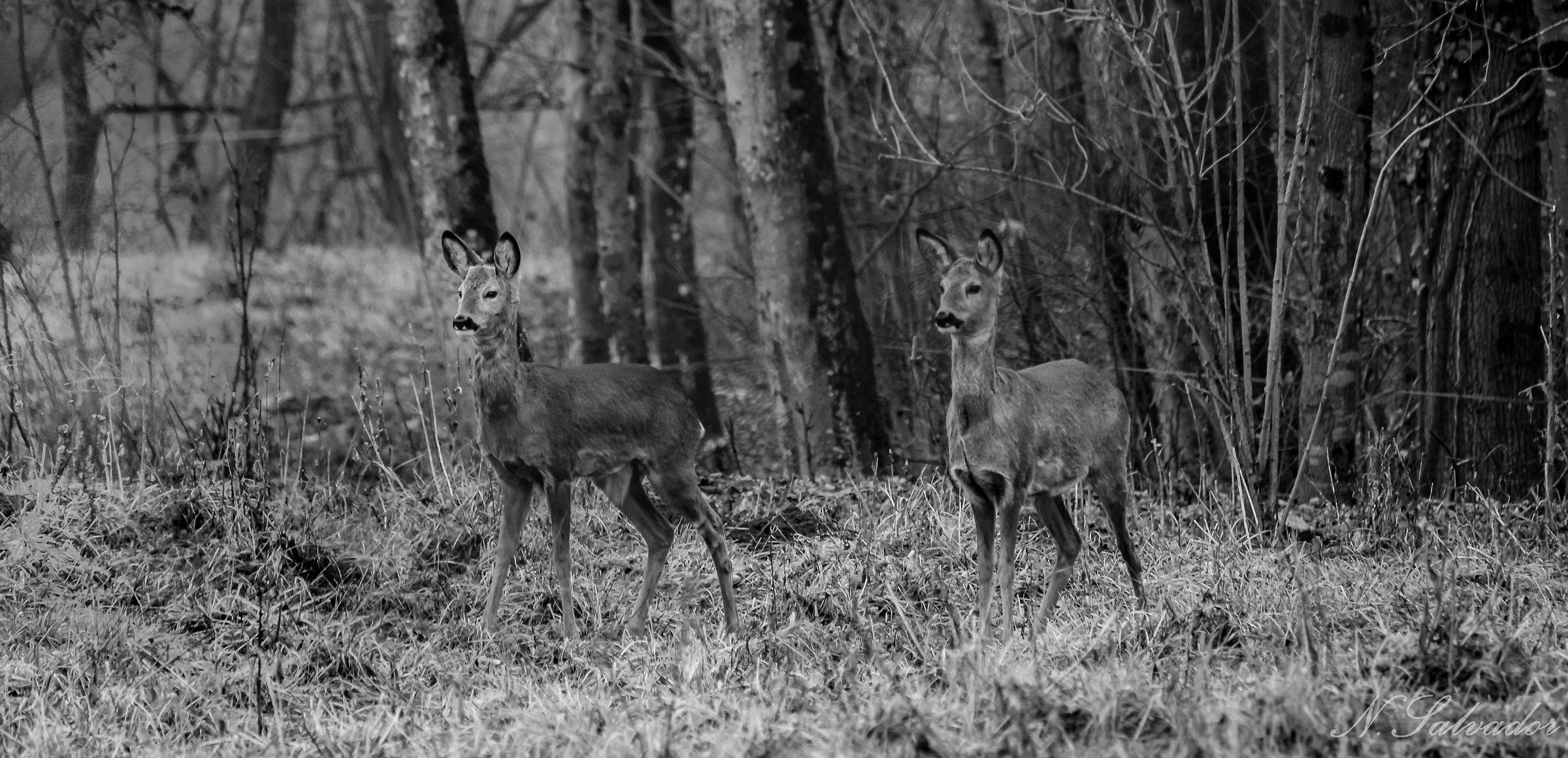 Did yuo hear that?! ...