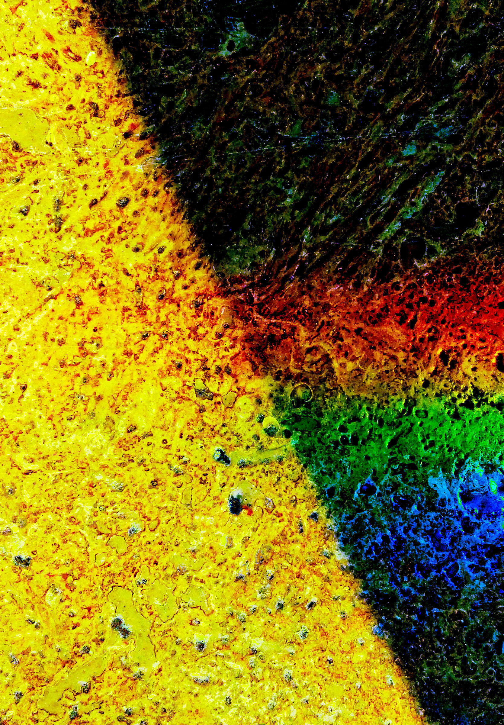 La linea d'ombra.....