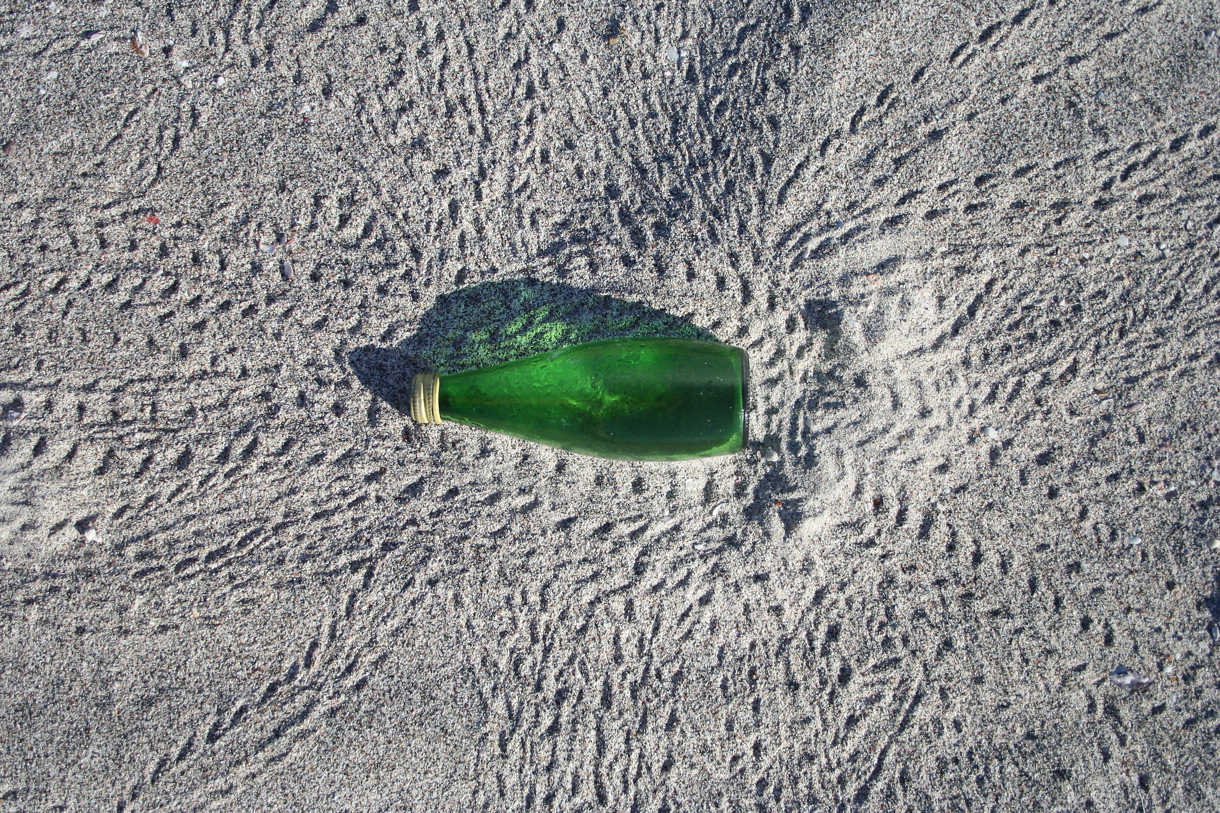 He said the crab ... only disappointment was a bottle