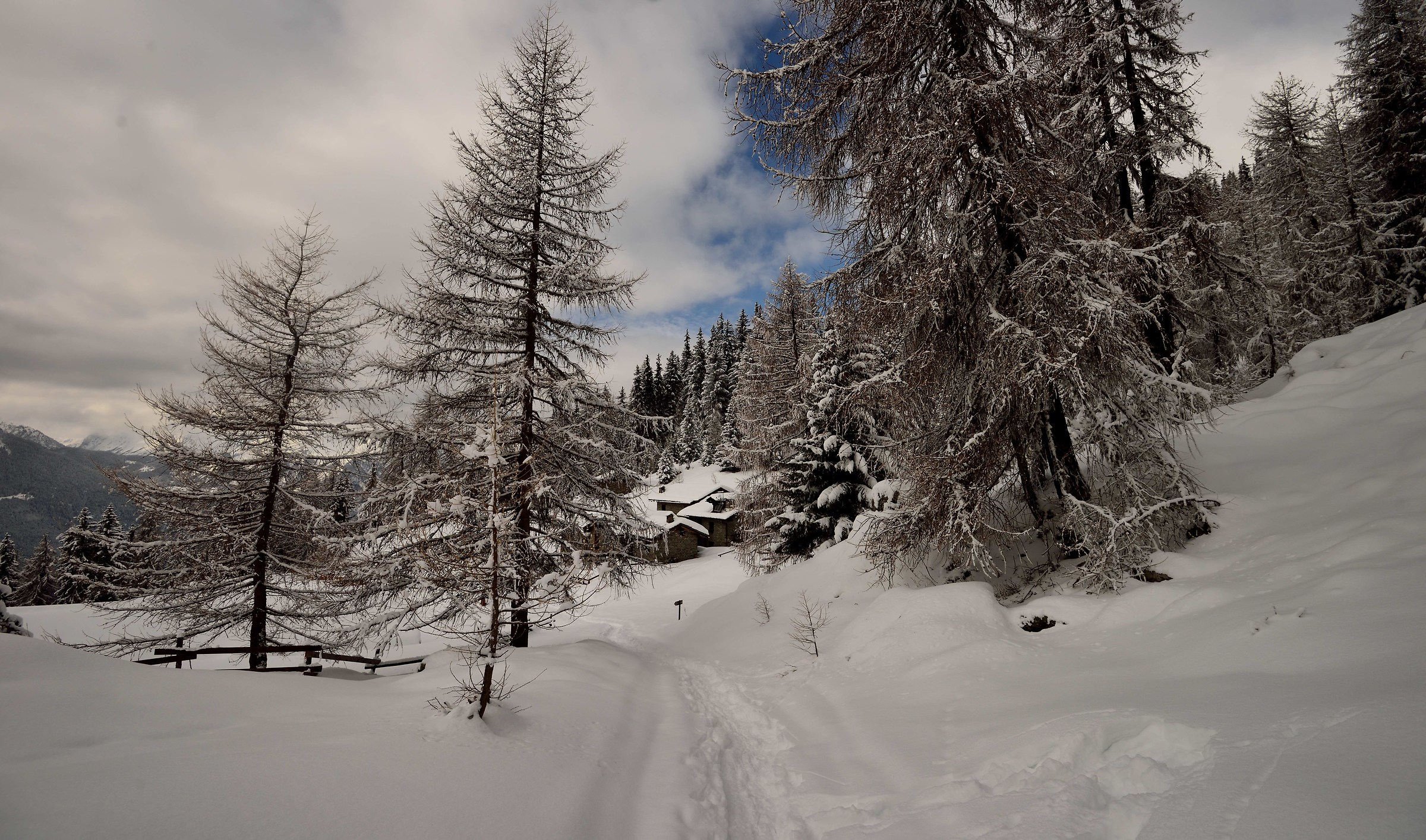 we're back to Arpille