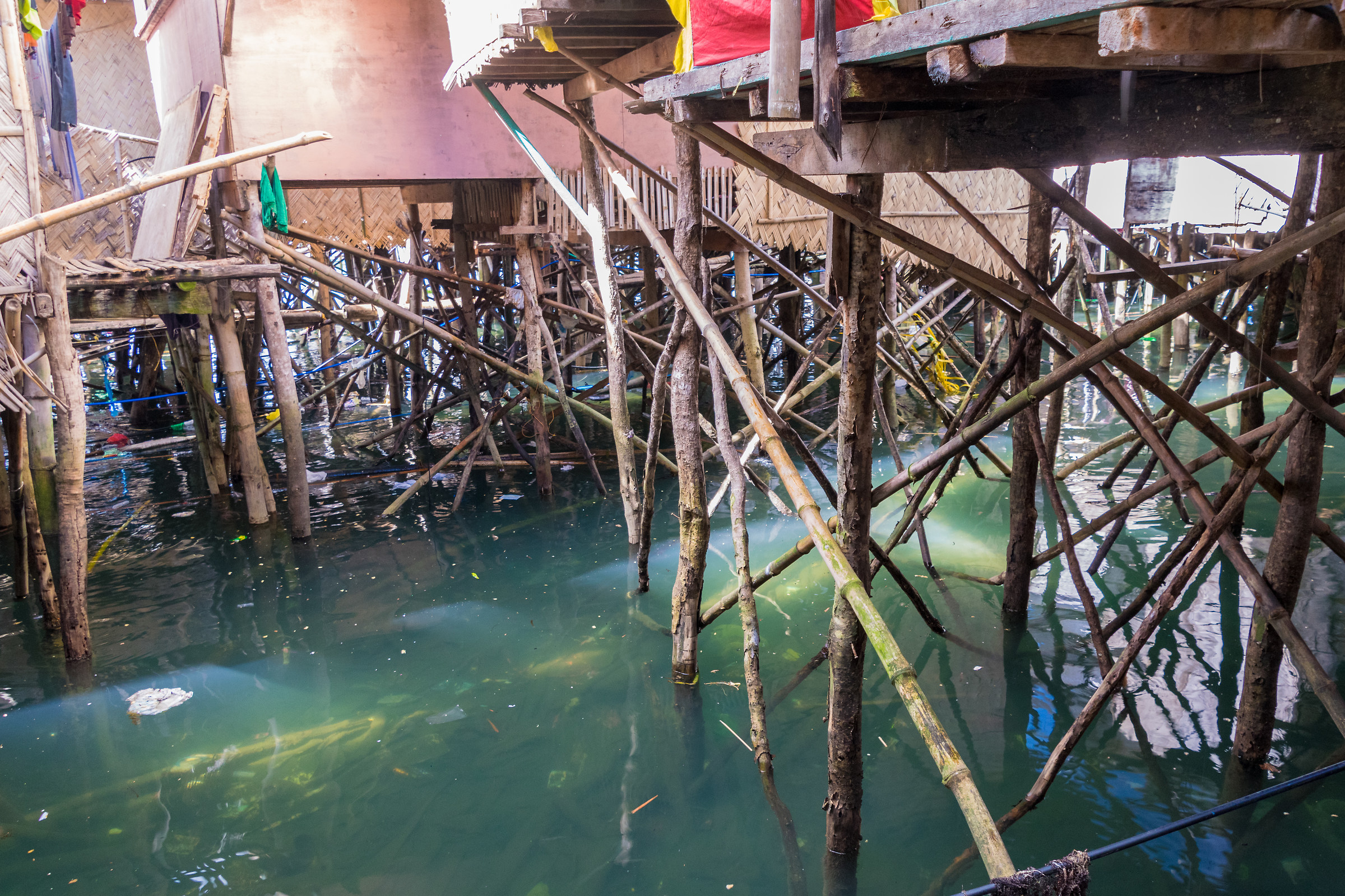 Una maglia di Trampoli