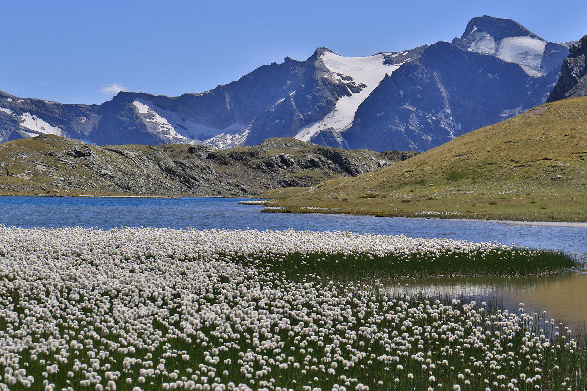 Gran Paradiso Park