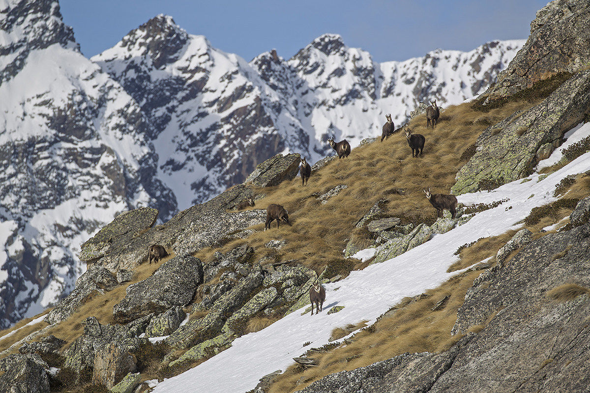 Stelvio National Park