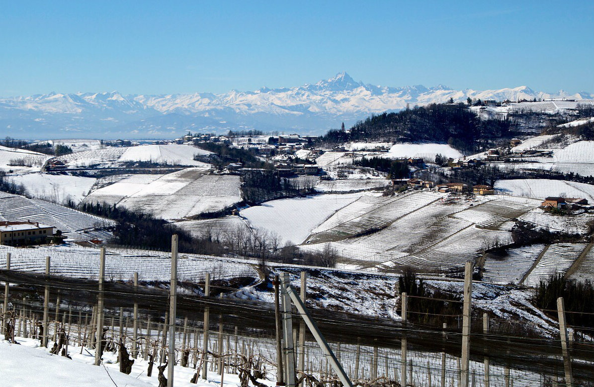 The bell tower of Monforte d'Alba and Monviso