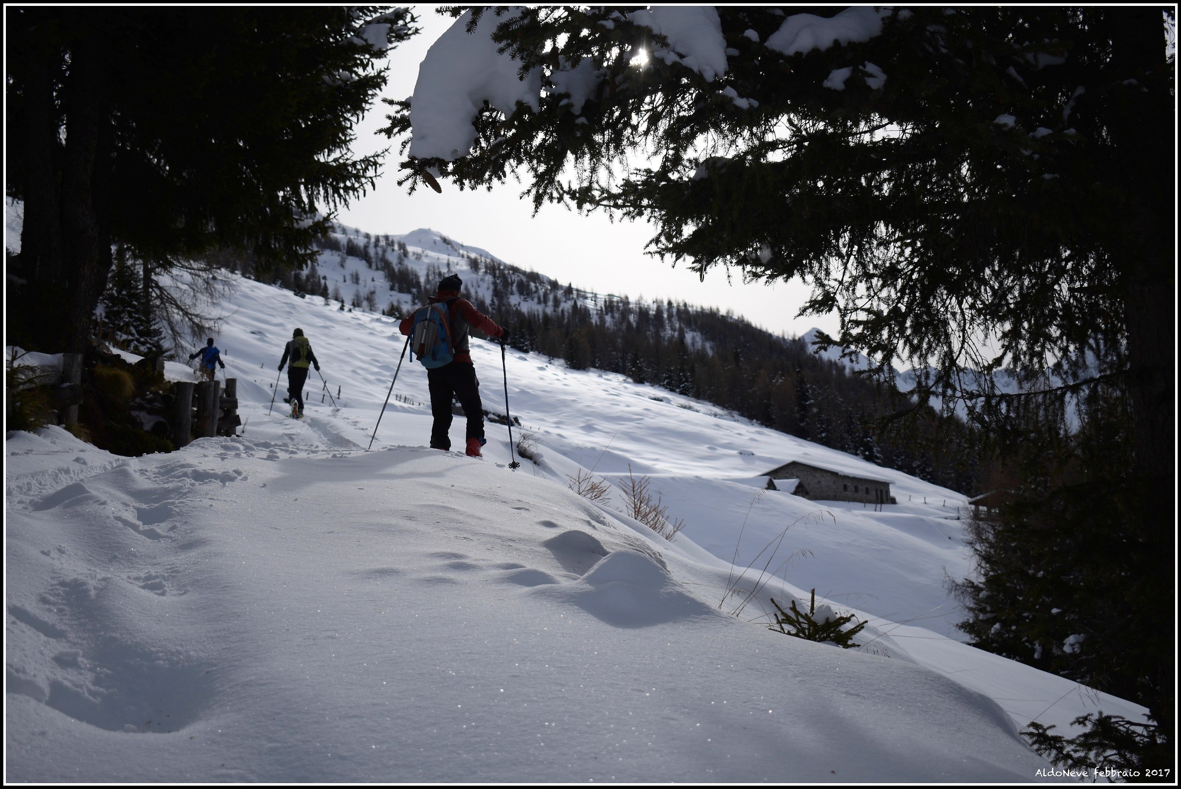 Controluce alle Malghe di Barbione