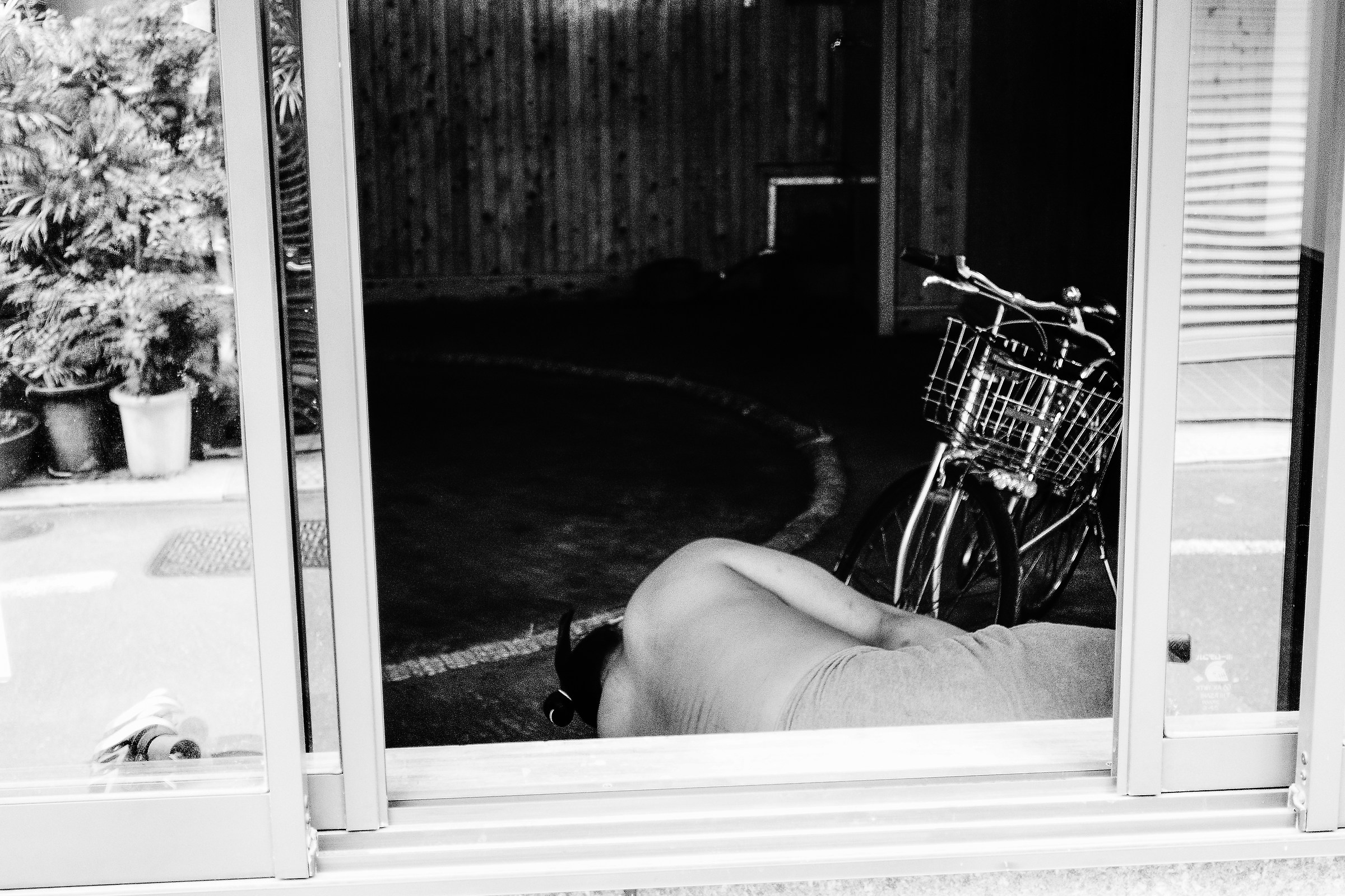 Sweet Dream Sumo wrestler