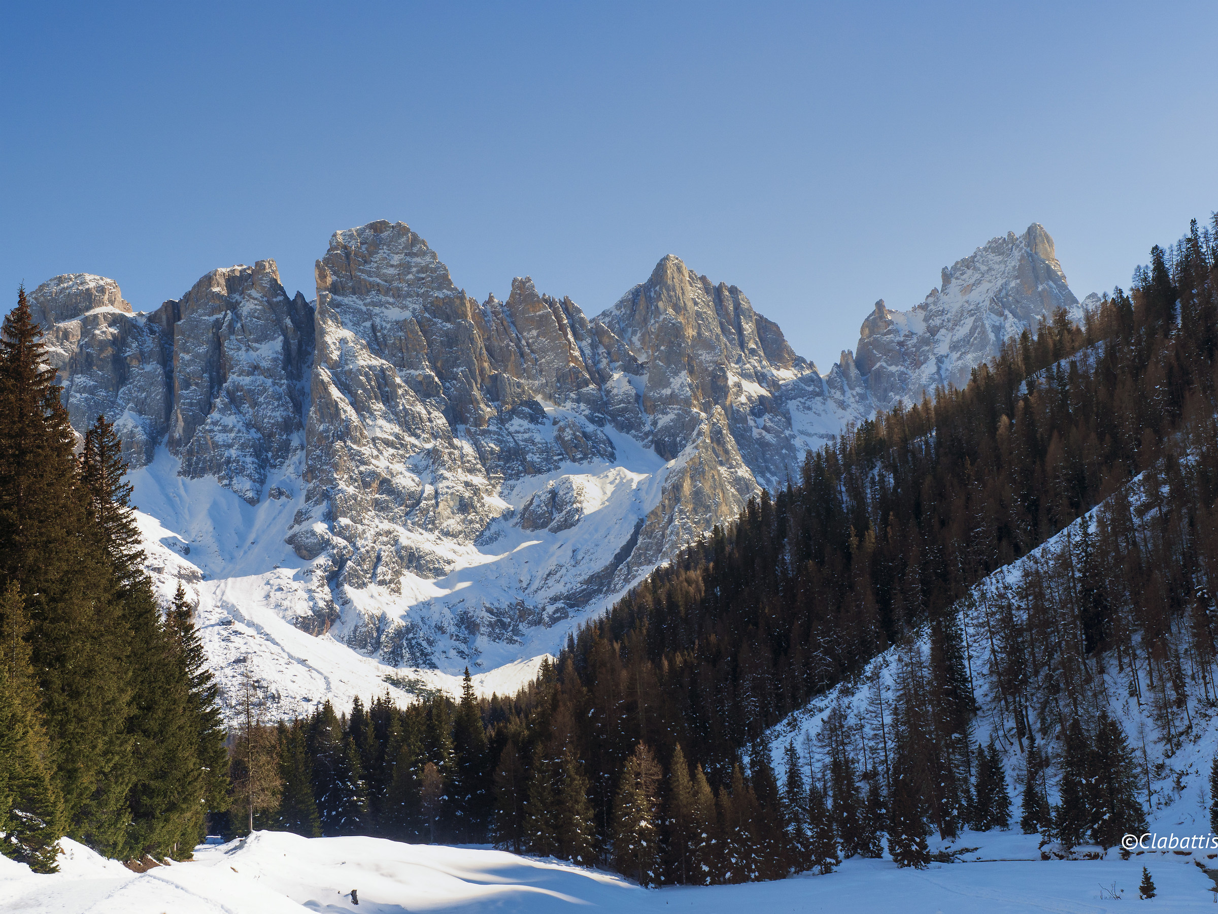 pale di san martino