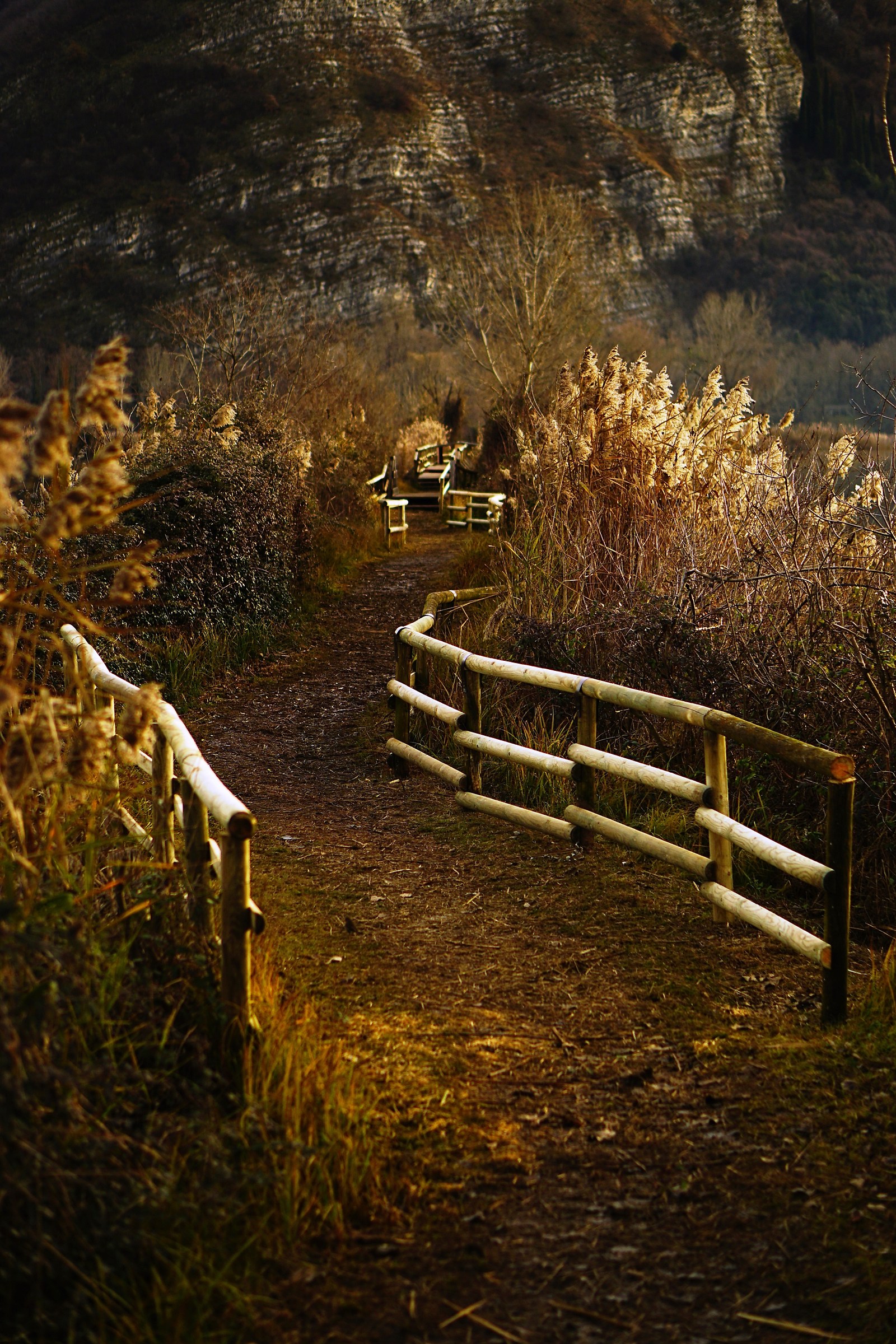 passage of the central path