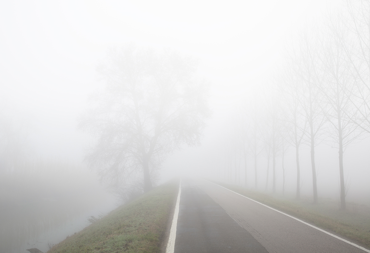 Fog in Bologna plain