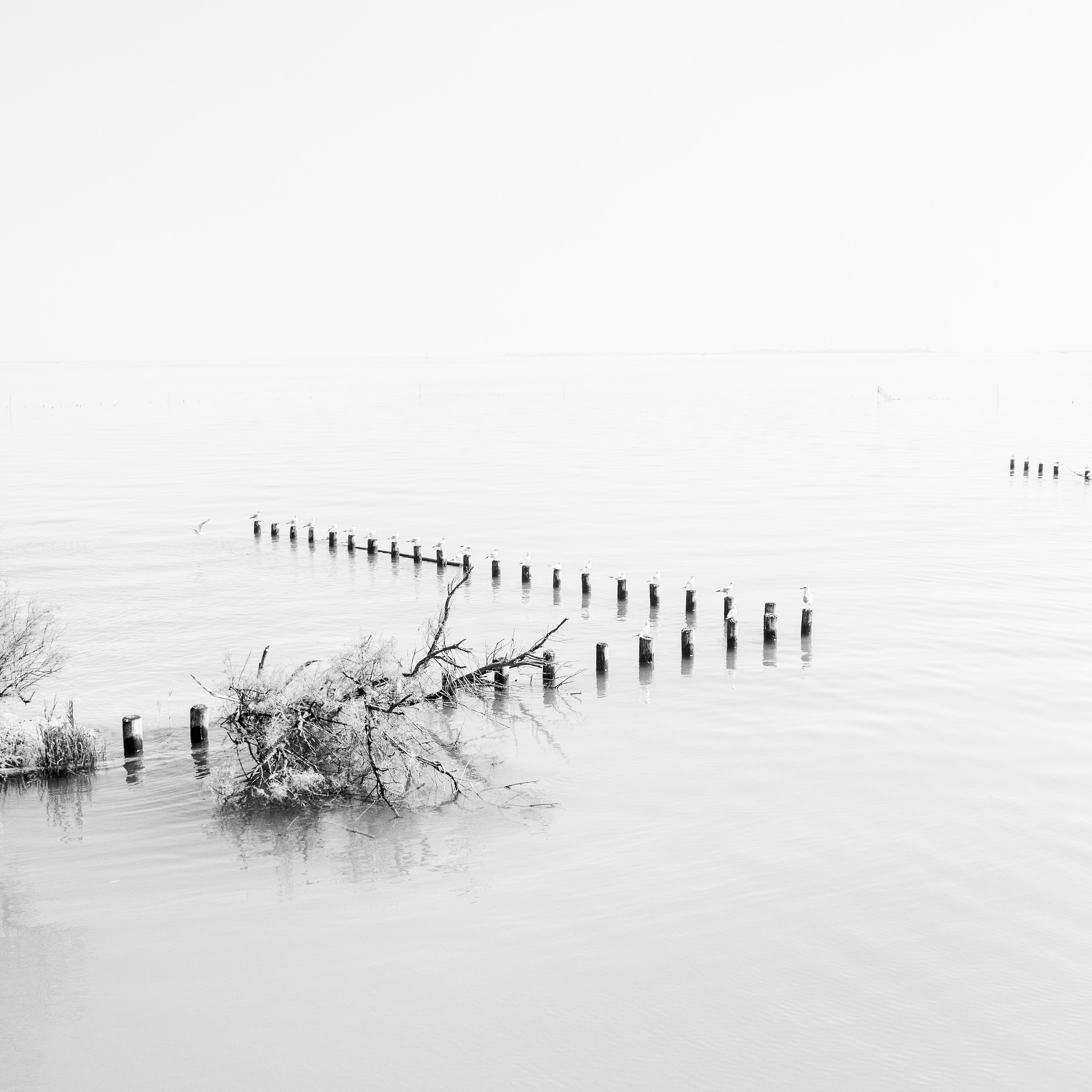 Tra cielo e mare. Laguna minimale