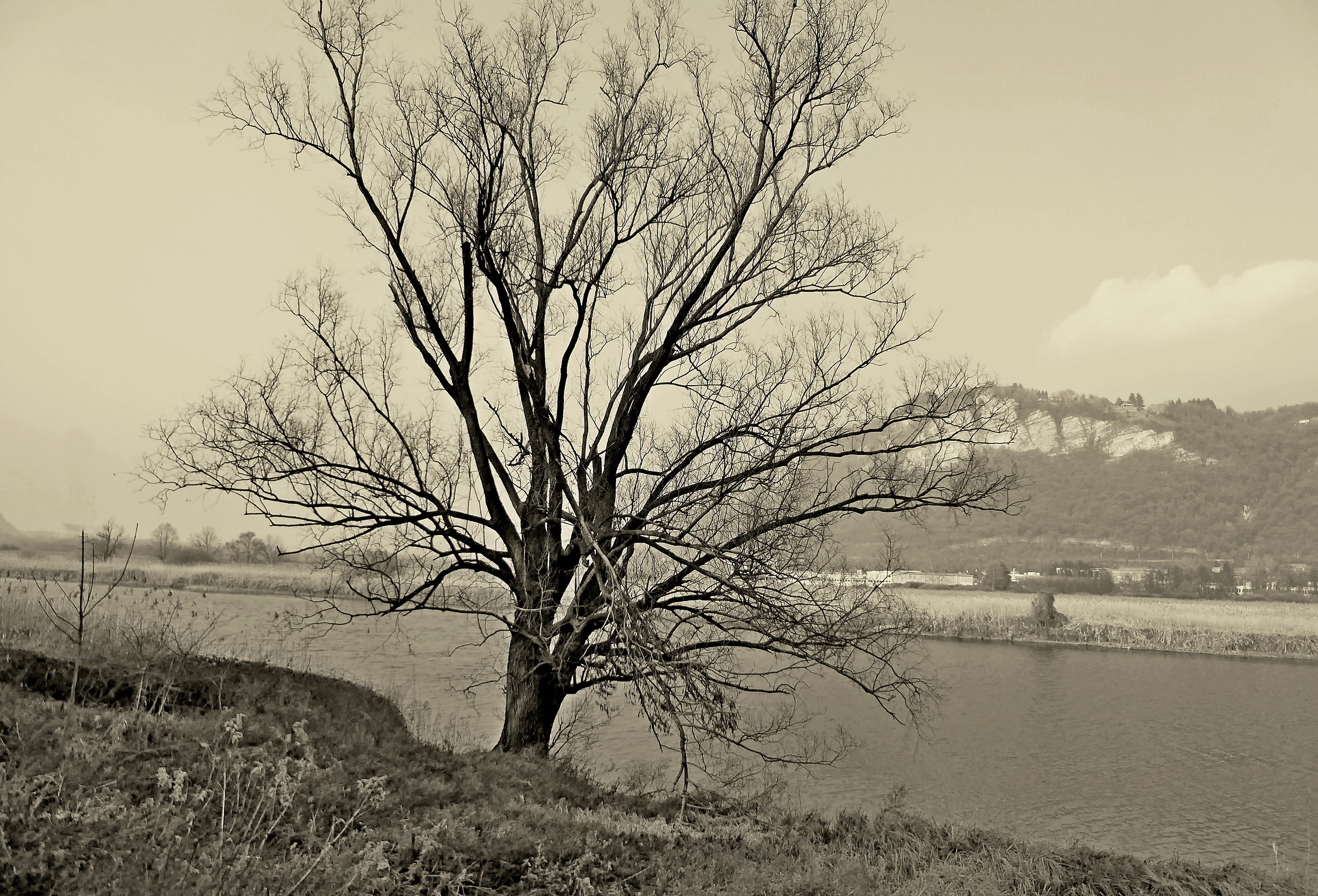 lungo l'Adda a Brivio