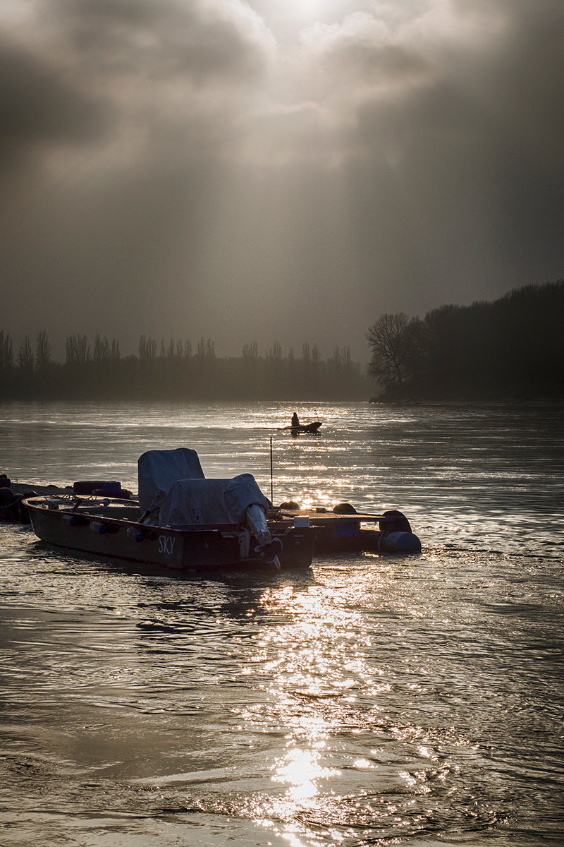 Inverno in un ramo del Po