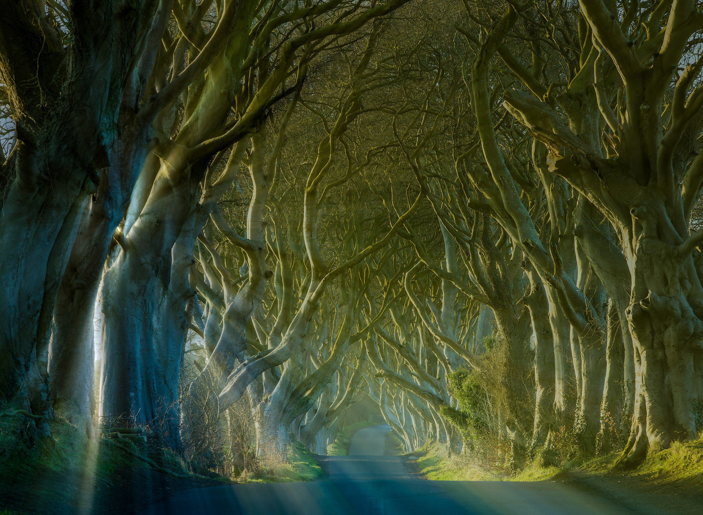 Dark Hedges and Rays