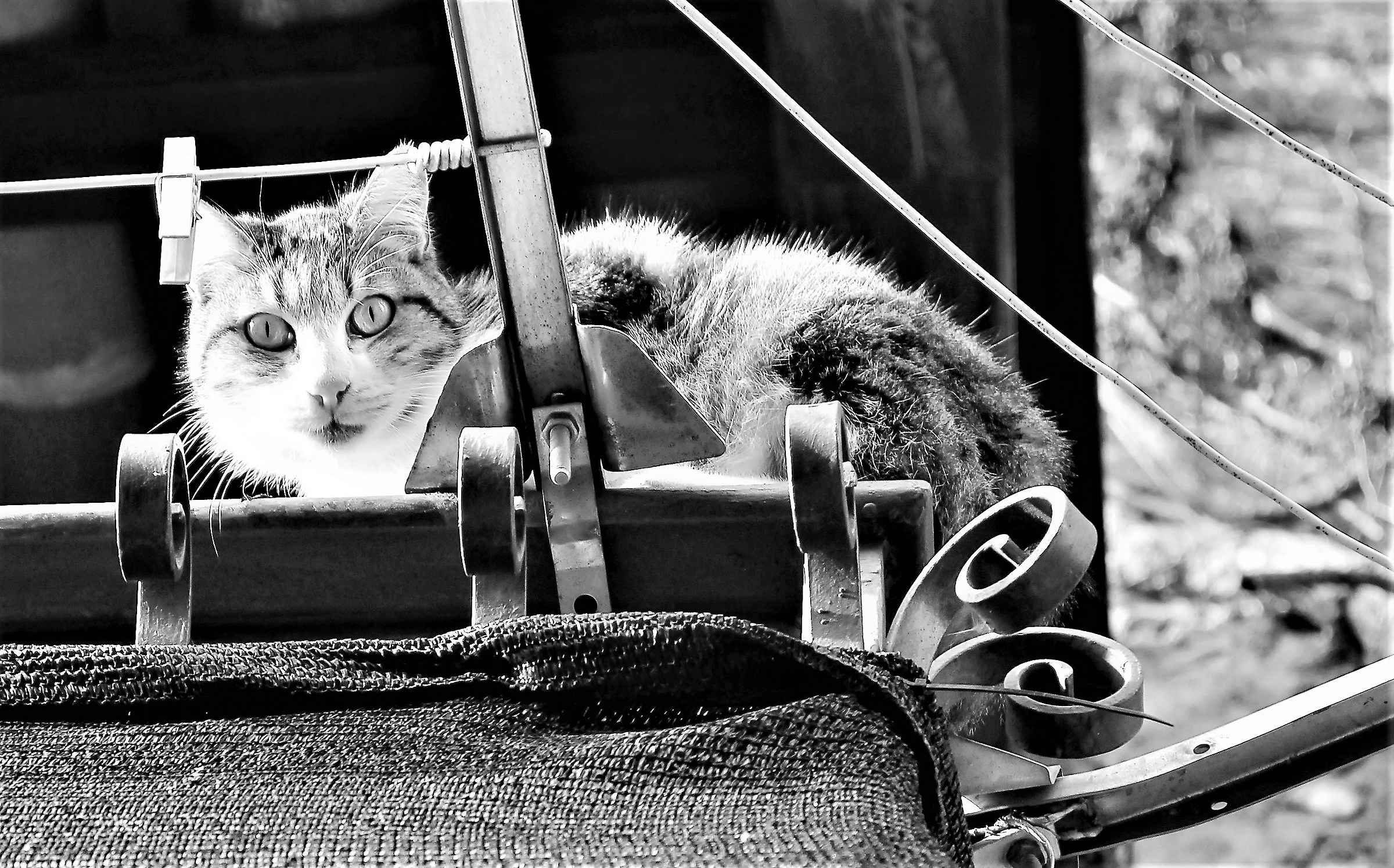 You do not scare me ..