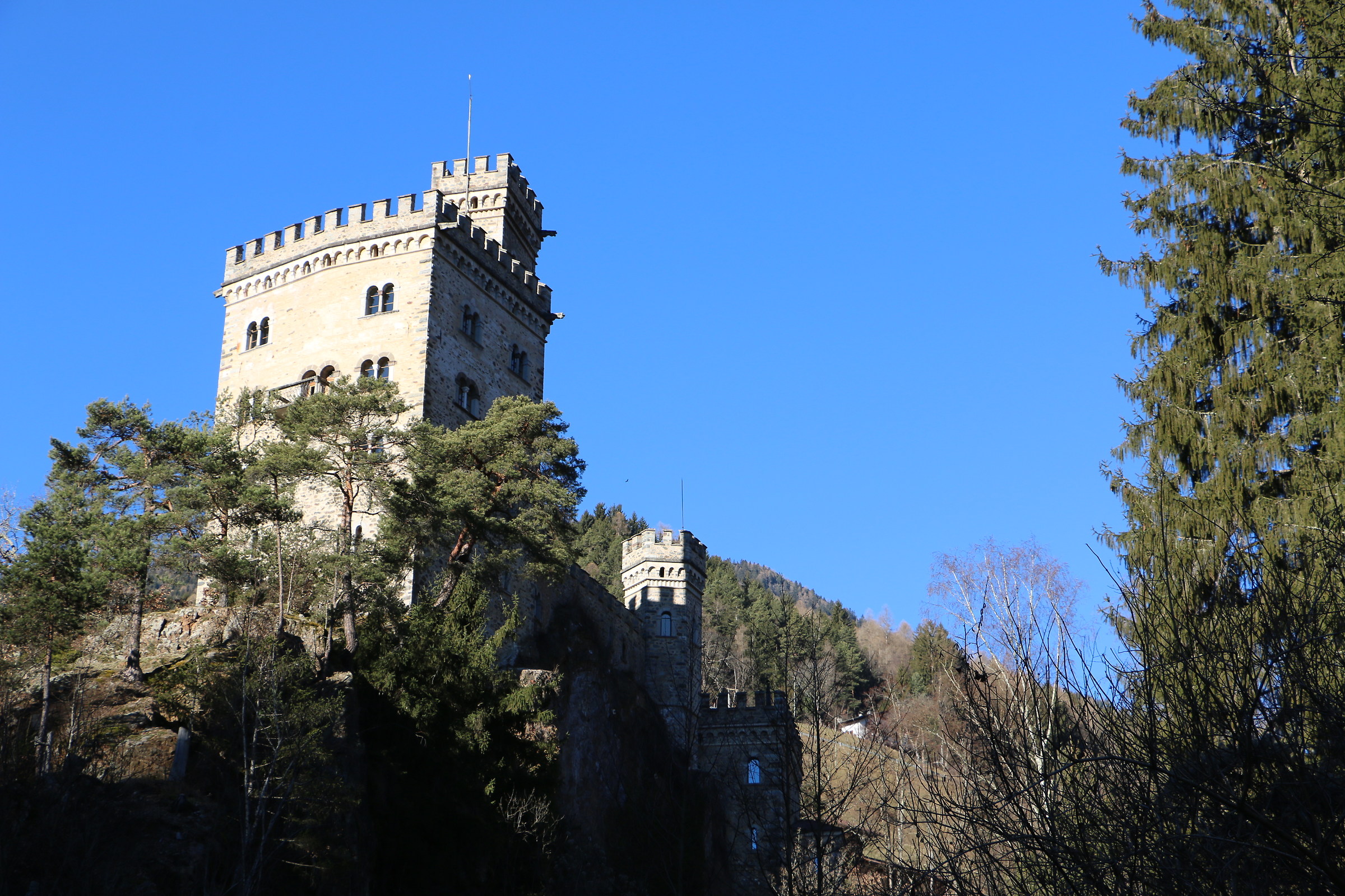 Fatto Bau...Bau...ci hanno aperto subito il portone