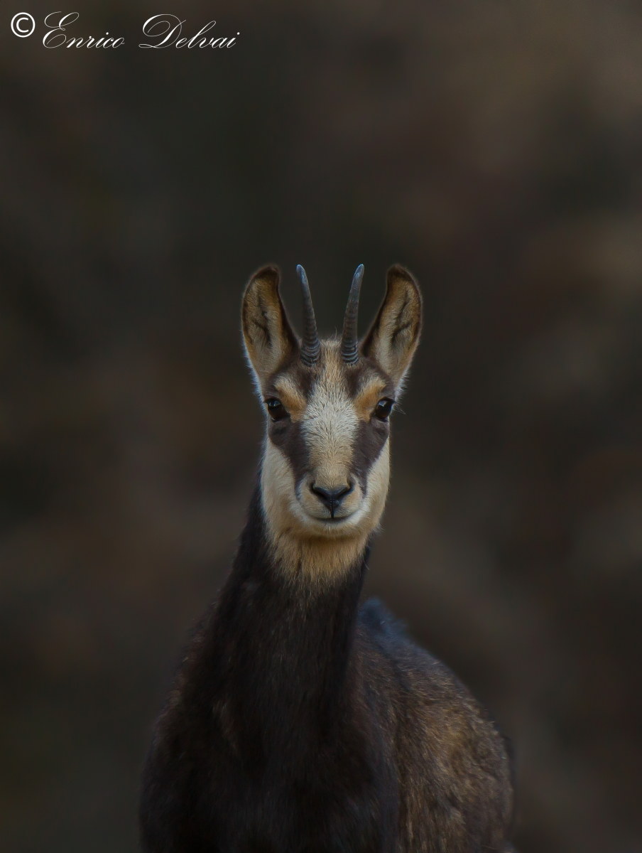 Try to reduce selective background noise ...