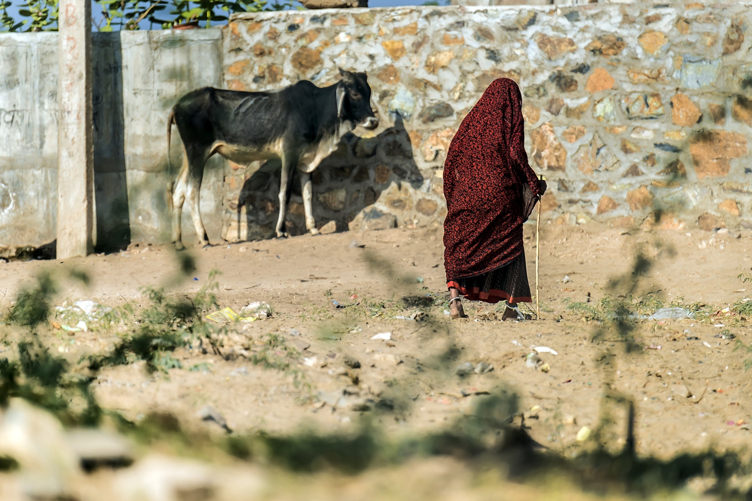 Rajasthan 2017 - In un piccolo villaggio rurale