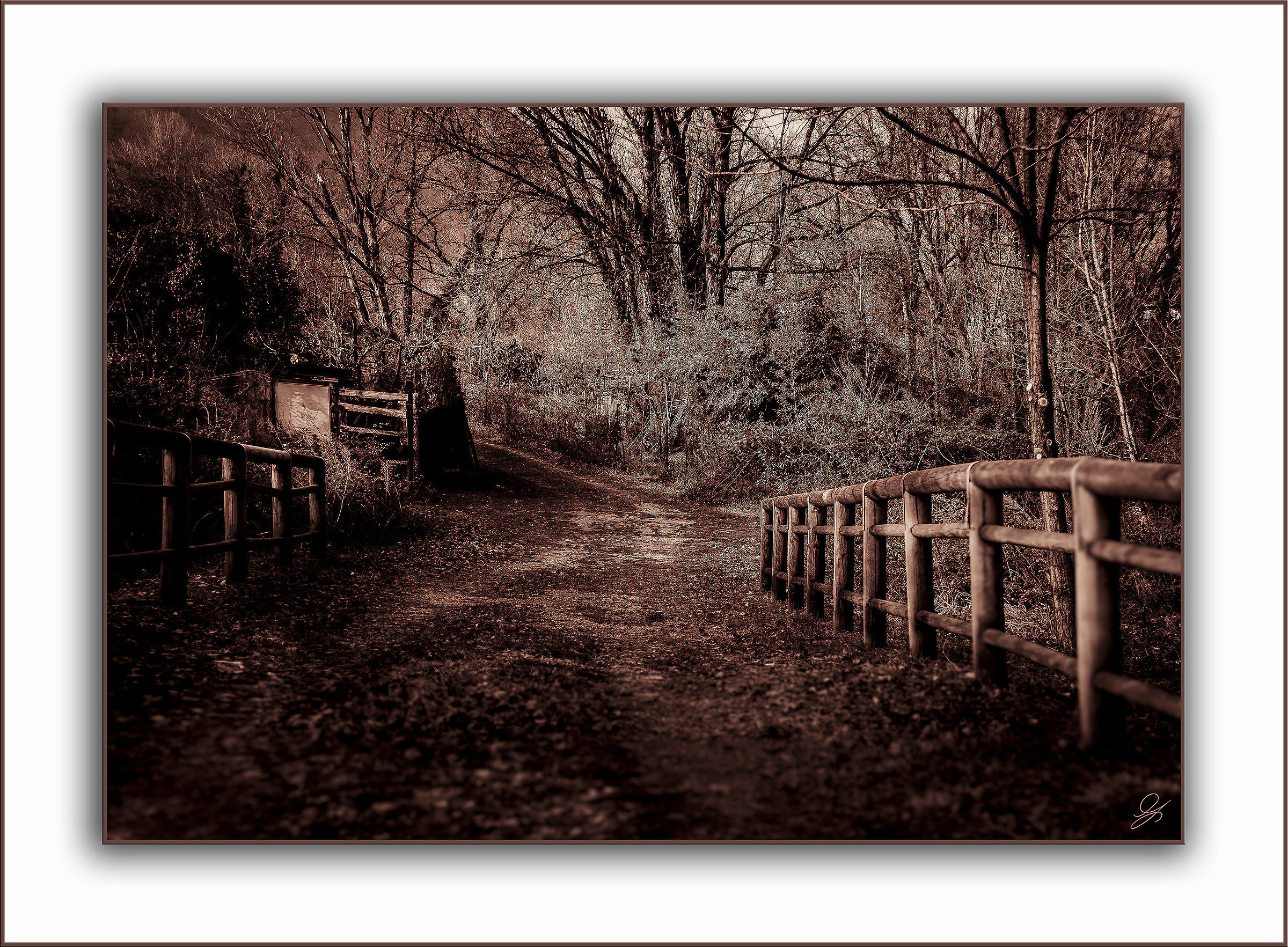 There is a road in the woods ...