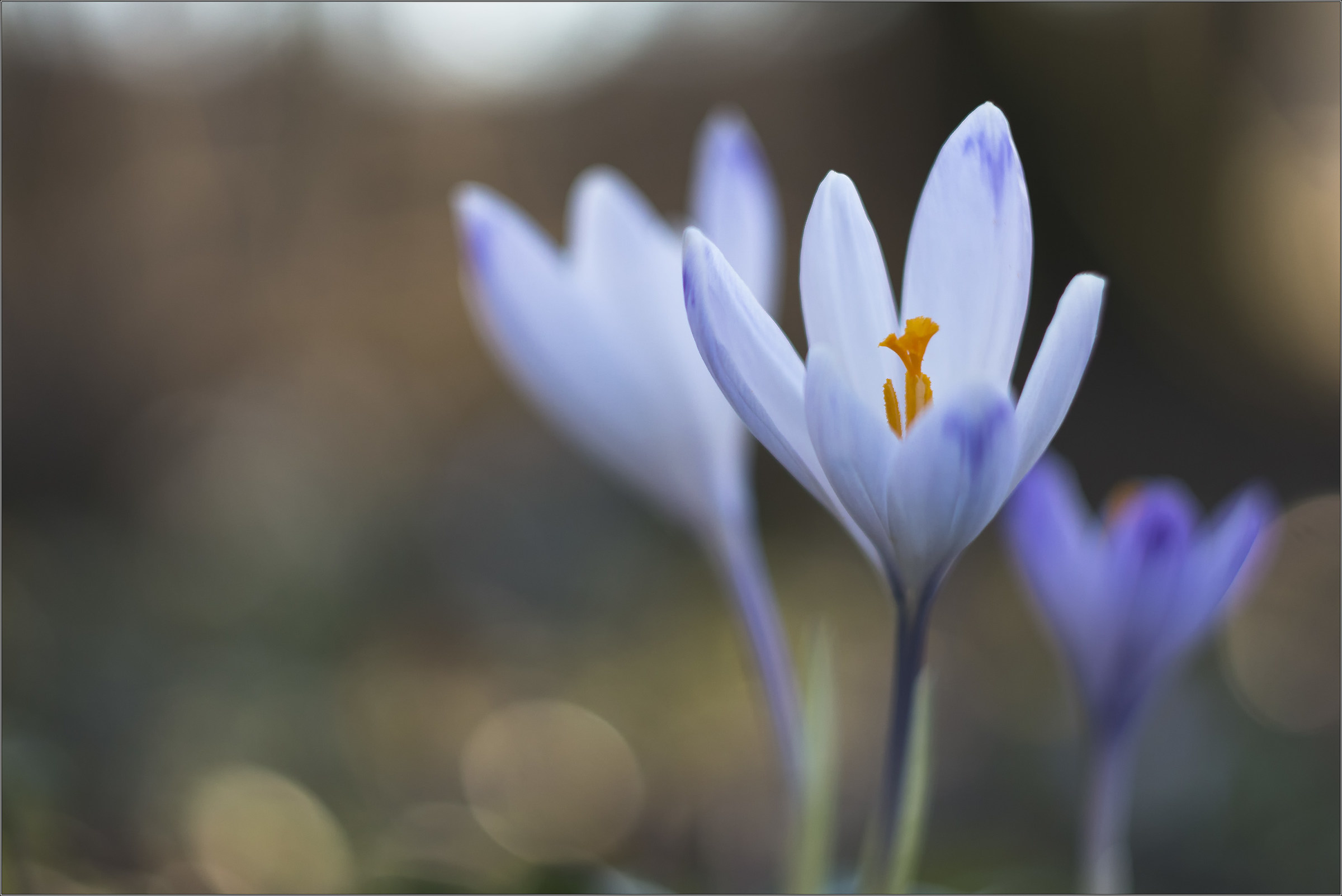 experiment with Helios 44/3 58 F2