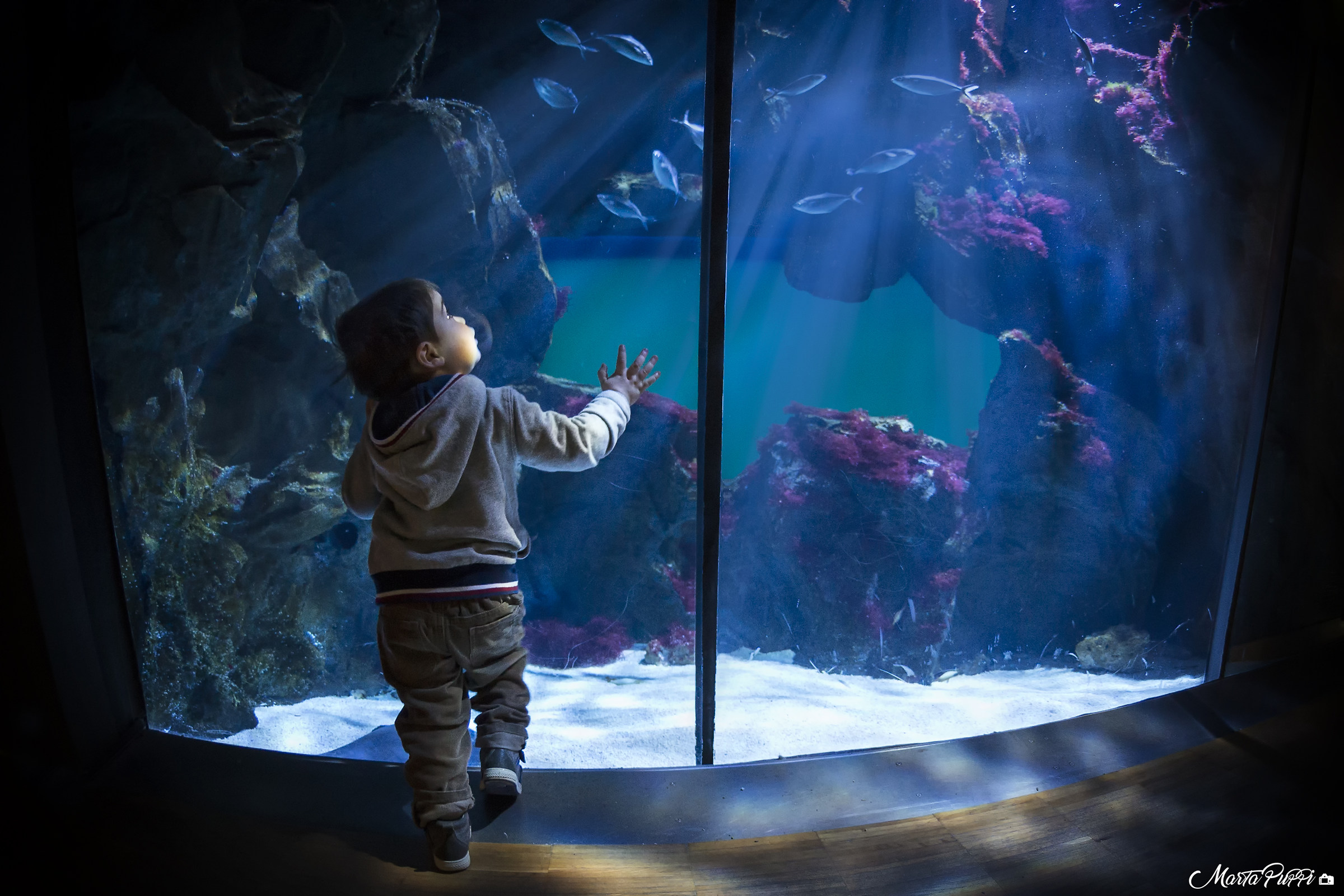 "Quando i bambini fanno oh...che meraviglia!"